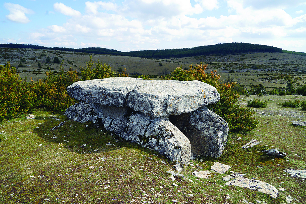 Dolmen du Buisson, Mas-Saint-Chély, Lozère