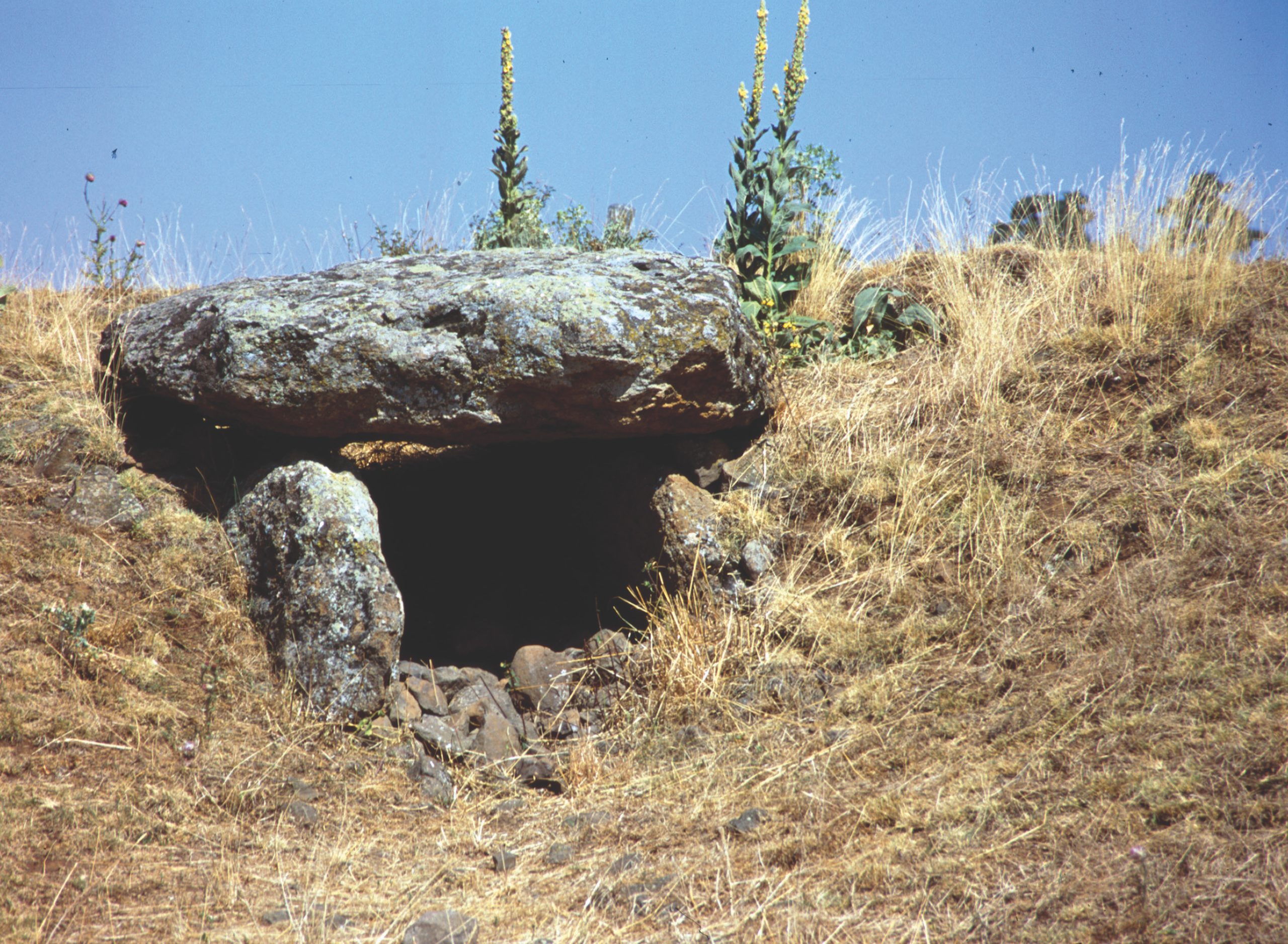 Entrée et couloir d'accès du dolmen de Mons (Cantal)