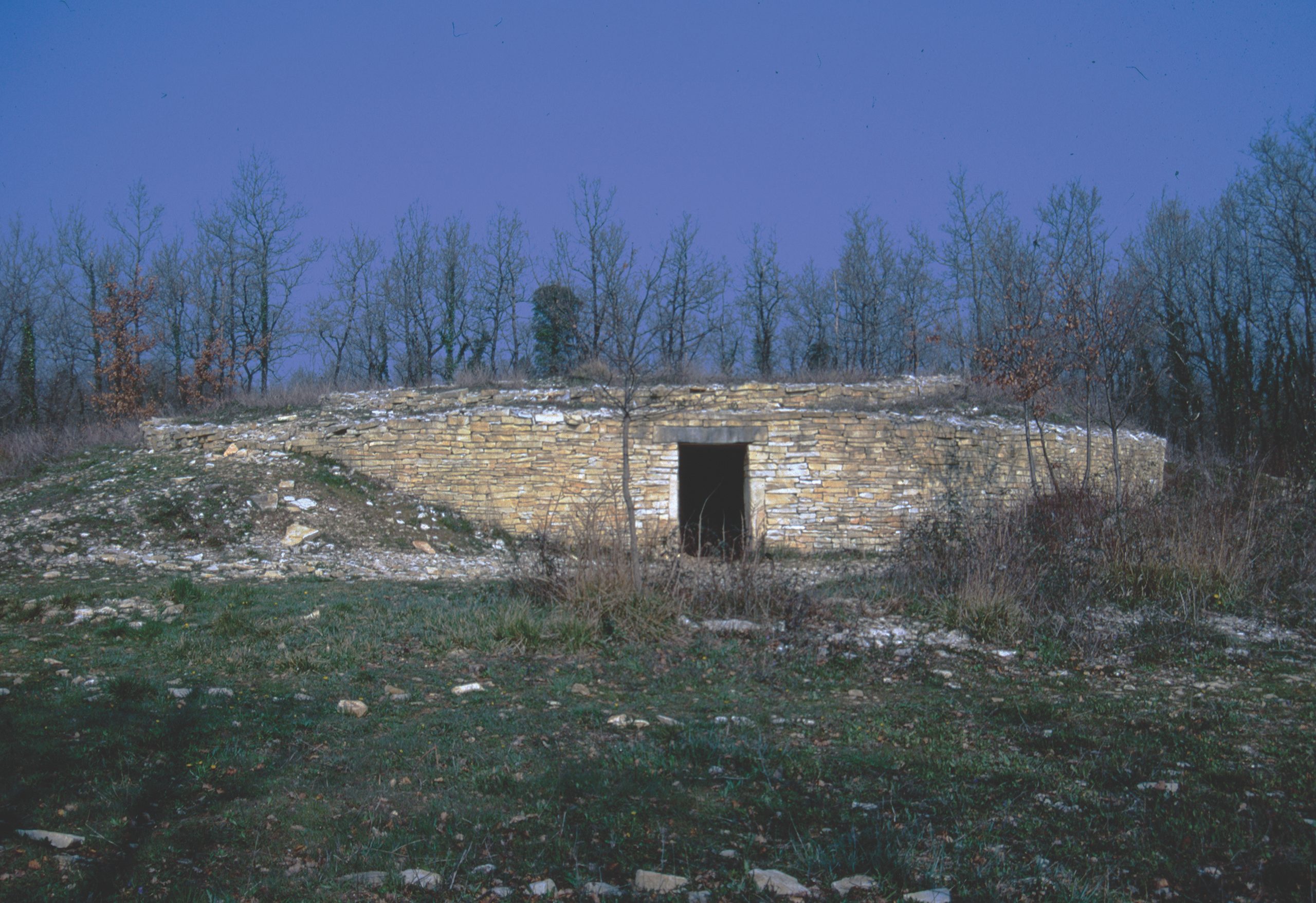 L’aspect extérieur et l’entrée du tumulus B de la nécropole de la Boixe à Vervant (Charente)