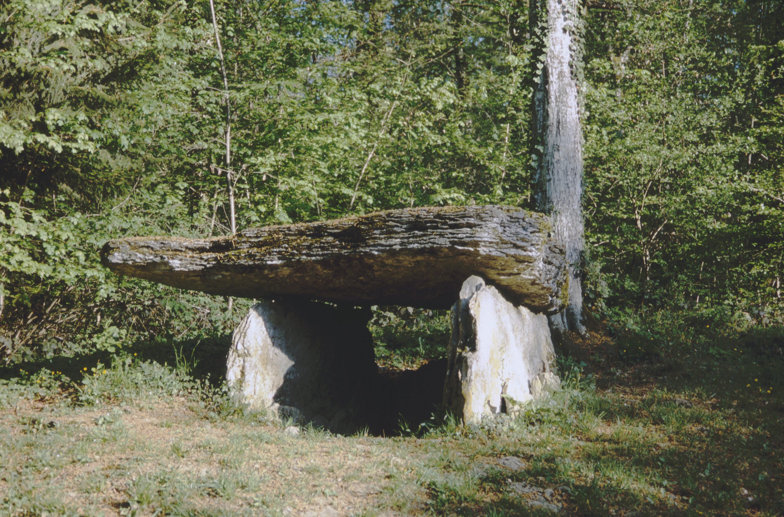 Dolmen de la Pierre Alot, Vitry-lès-Nogent (Haute-Marne)