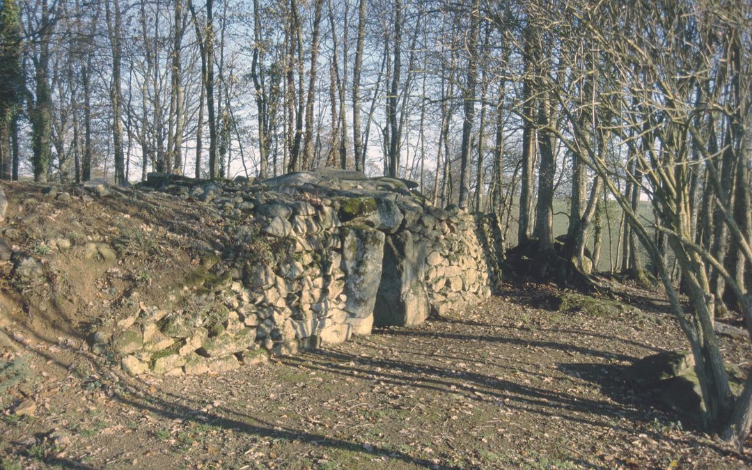 Petit Vieux Sou, Mayenne