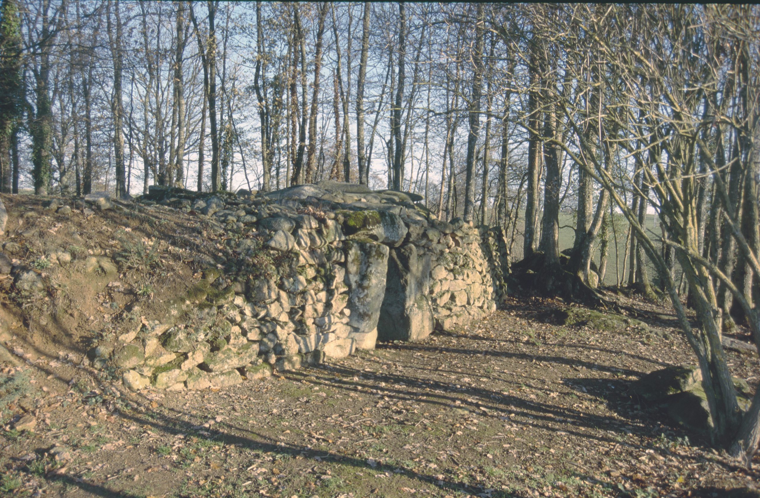 Façade avec son entrée centrale de l’allée couverte du Petit Vieux Sou à Brecé (Mayenne)
