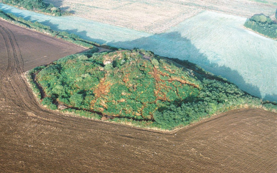 Les tumulus géants (carnacéens)