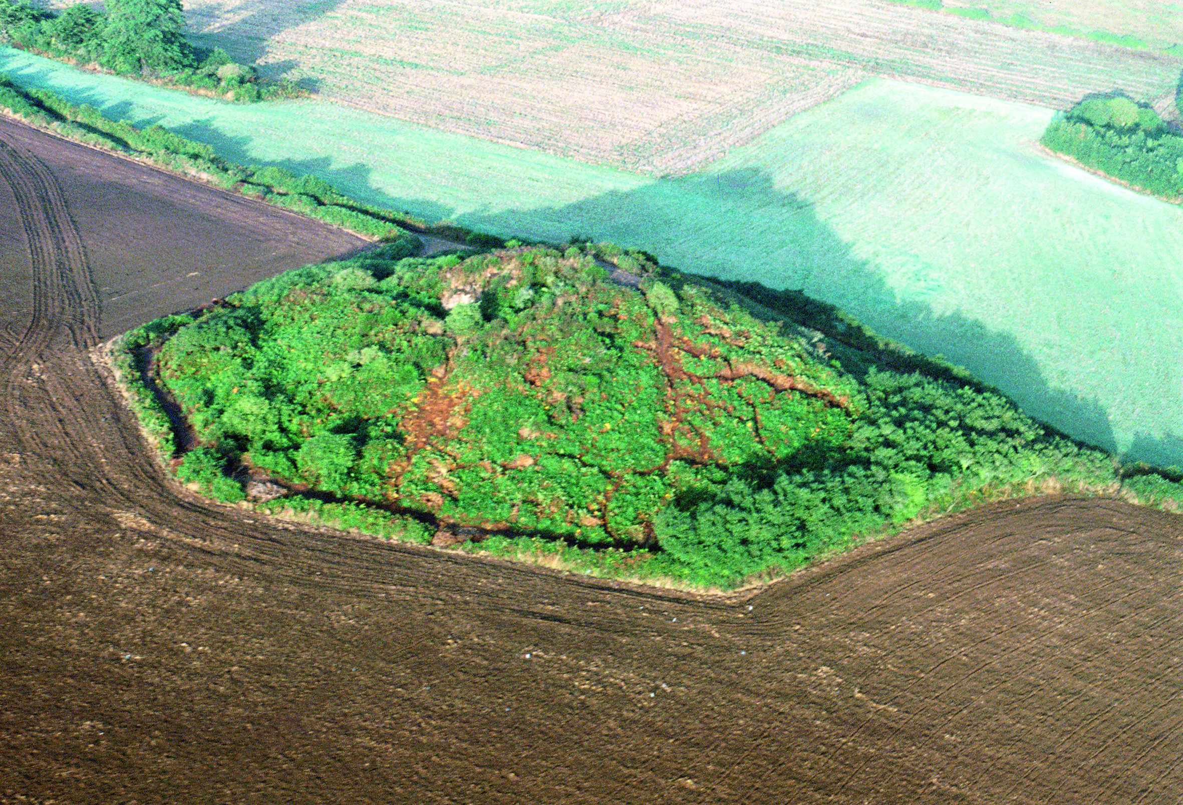 Le tumulus géant de Tumiac ou Butte de César à Arzon (Morbihan)