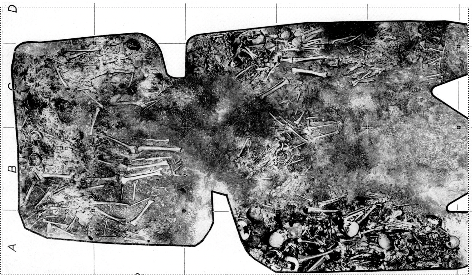 Assemblage photographique de la couche d'inhumation de l’hypogée des Mournouards II au Mesnil-sur-Oger (Marne)