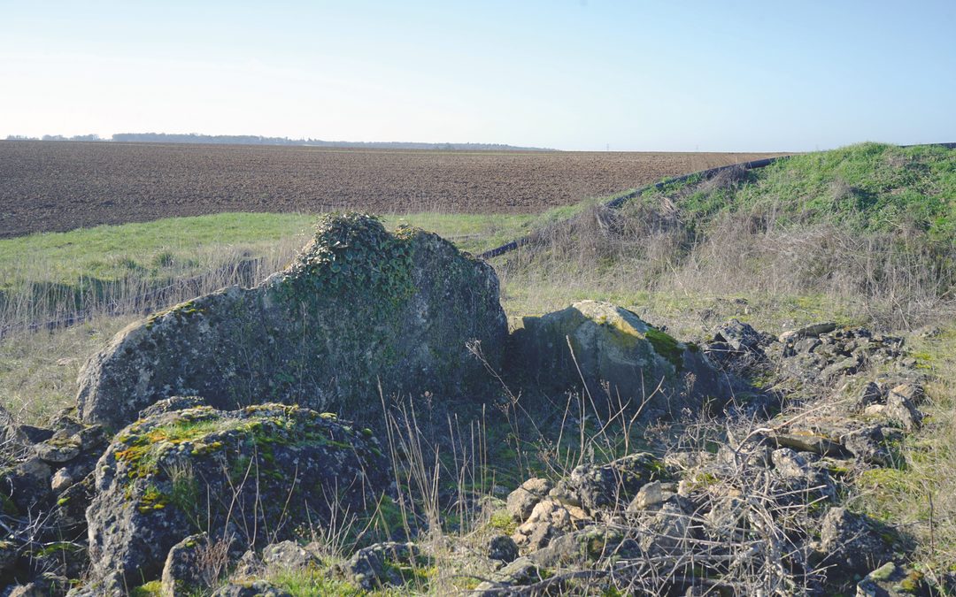 Mailleton, Loiret