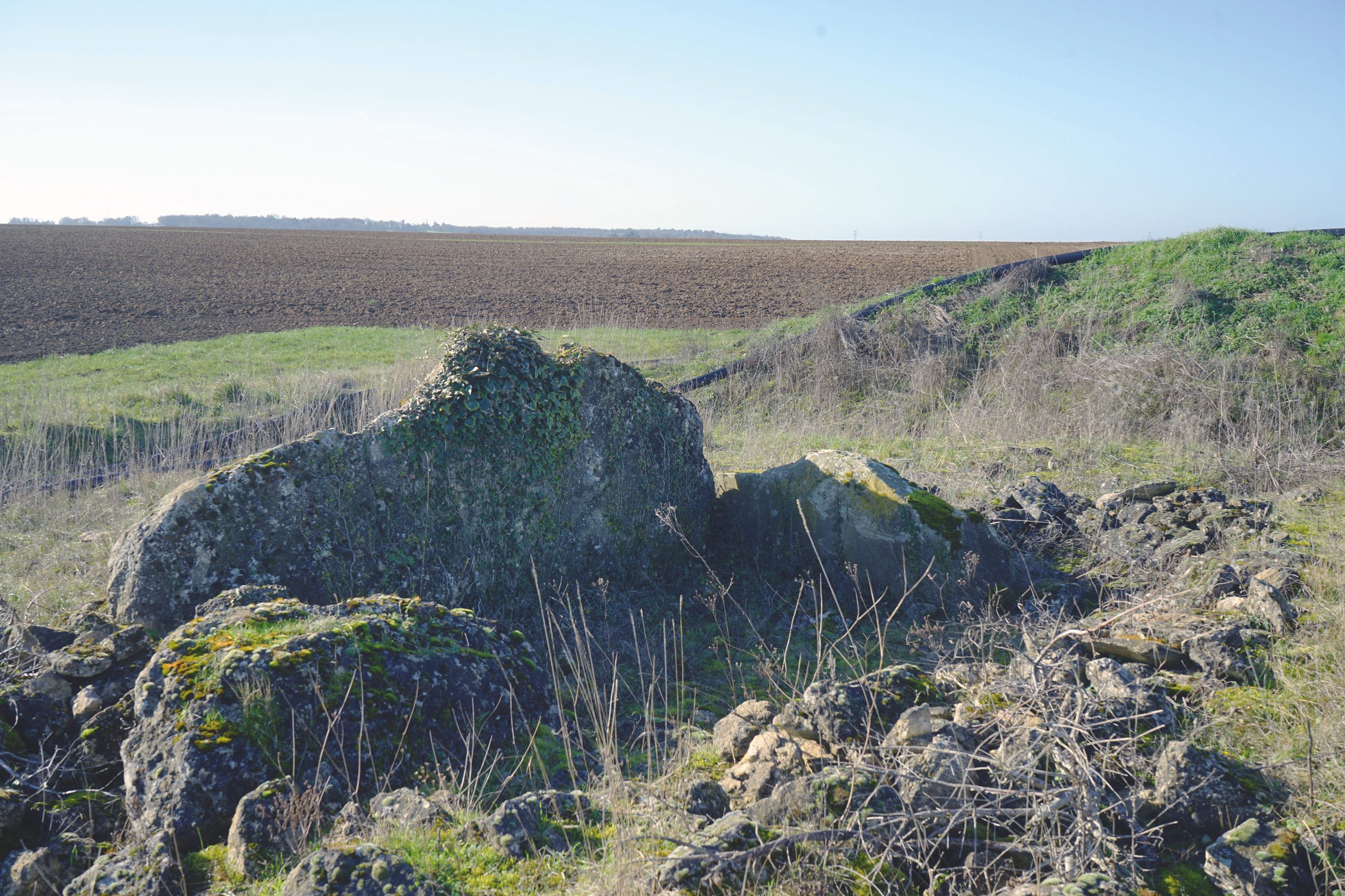L’état actuel déplorable du dolmen de Mailleton à Malesherbes (Loiret)