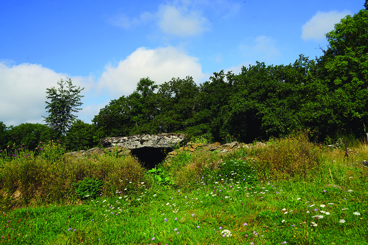 Le dolmen de la Table au Loup, restauré, à Sériers (Cantal)