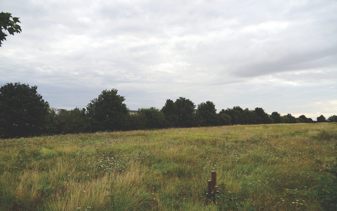 Motte des Justices, Deux-Sèvres