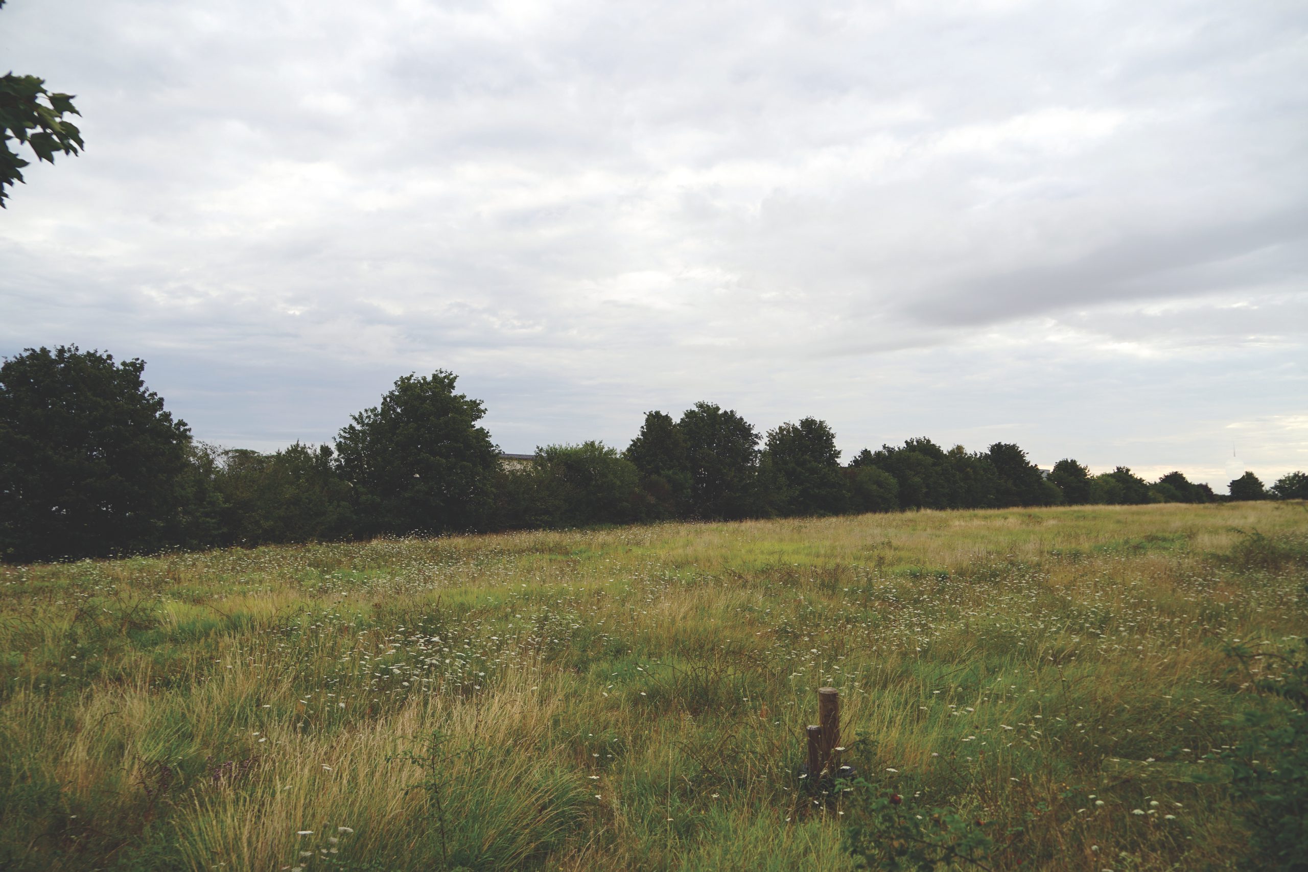 Le long tumulus de la Motte des Justices dans le paysage, Thouars (Deux-Sèvres)