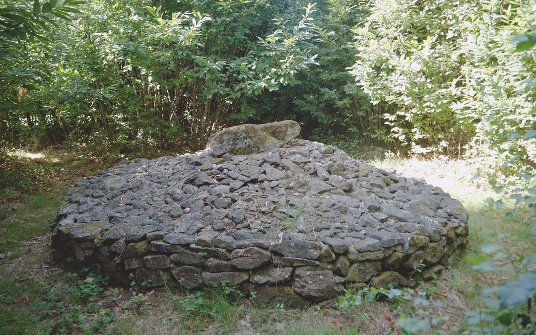Bois Neuf III, Creuse
