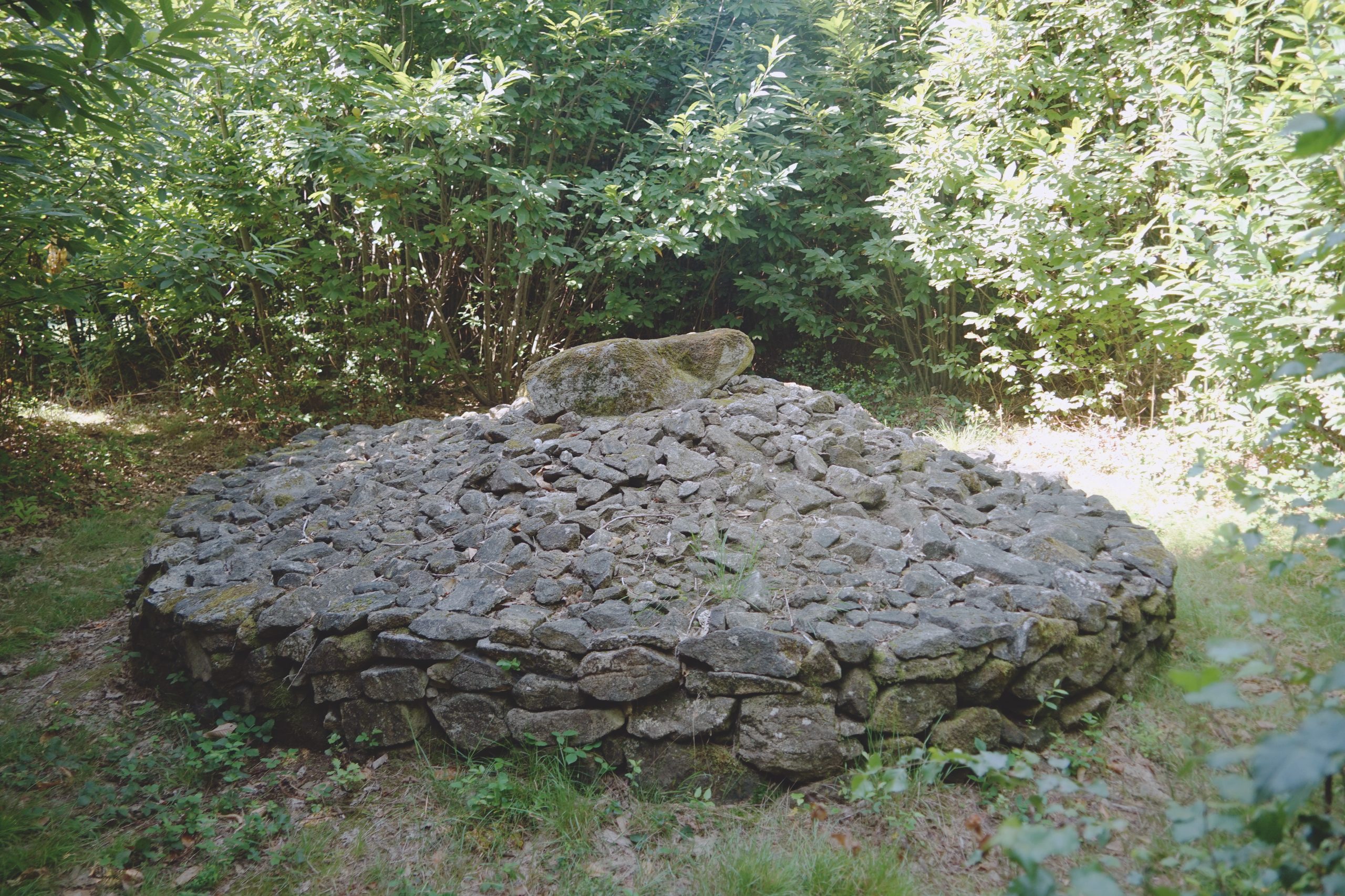 Le tertre entourant la chambre du dolmen III du Bois Neuf à Marsac (Creuse)