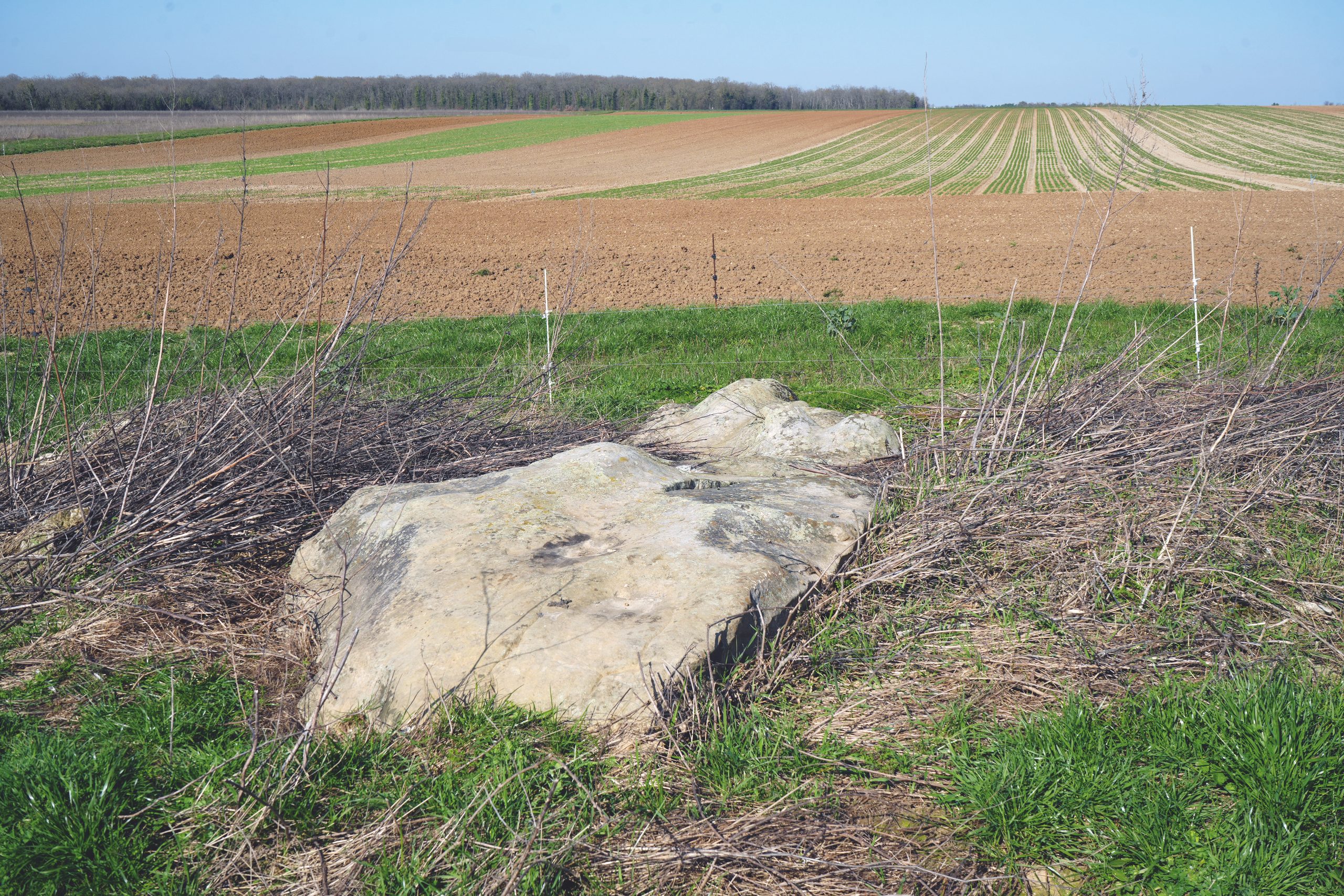 La Pierre Droite, nom du menhir se trouvant à proximité de Milly-la-Forêt (Essonne)