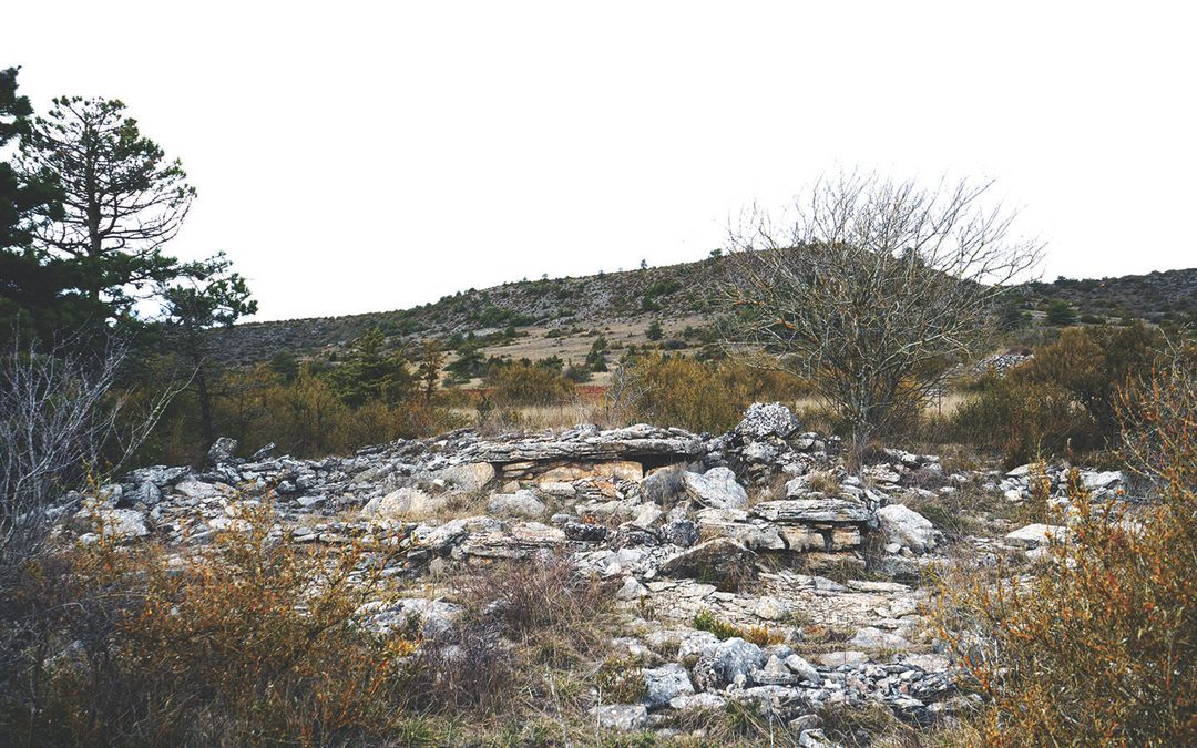 Saint-Martin-du-Larzac 3, Aveyron