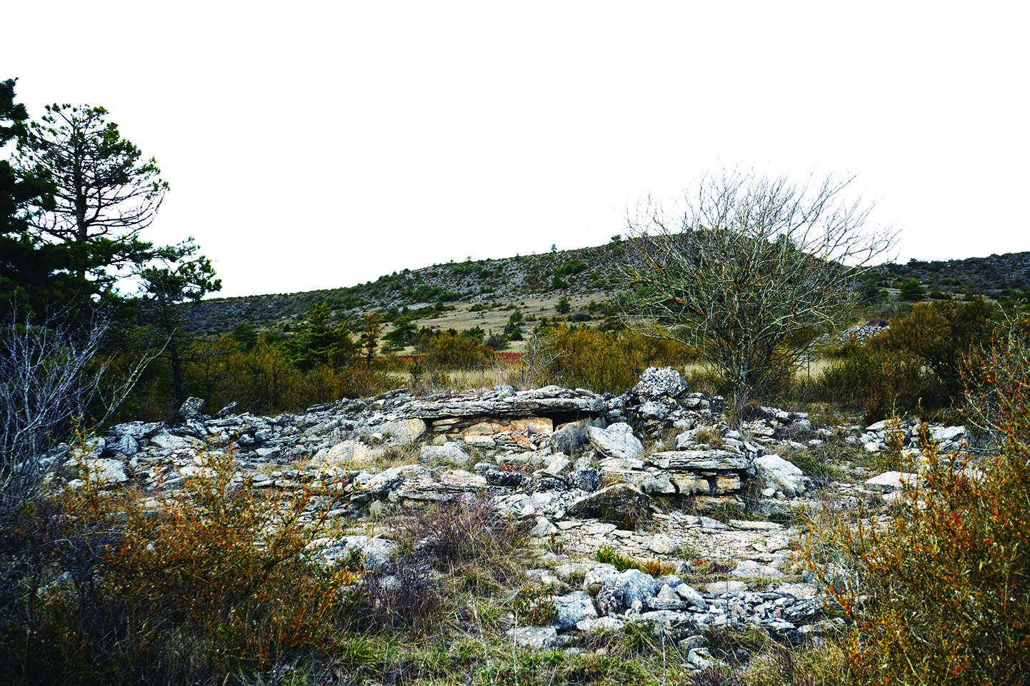 Le dolmen de Saint-Martin-du-Larzac dans son état actuel, Millau (Aveyron)