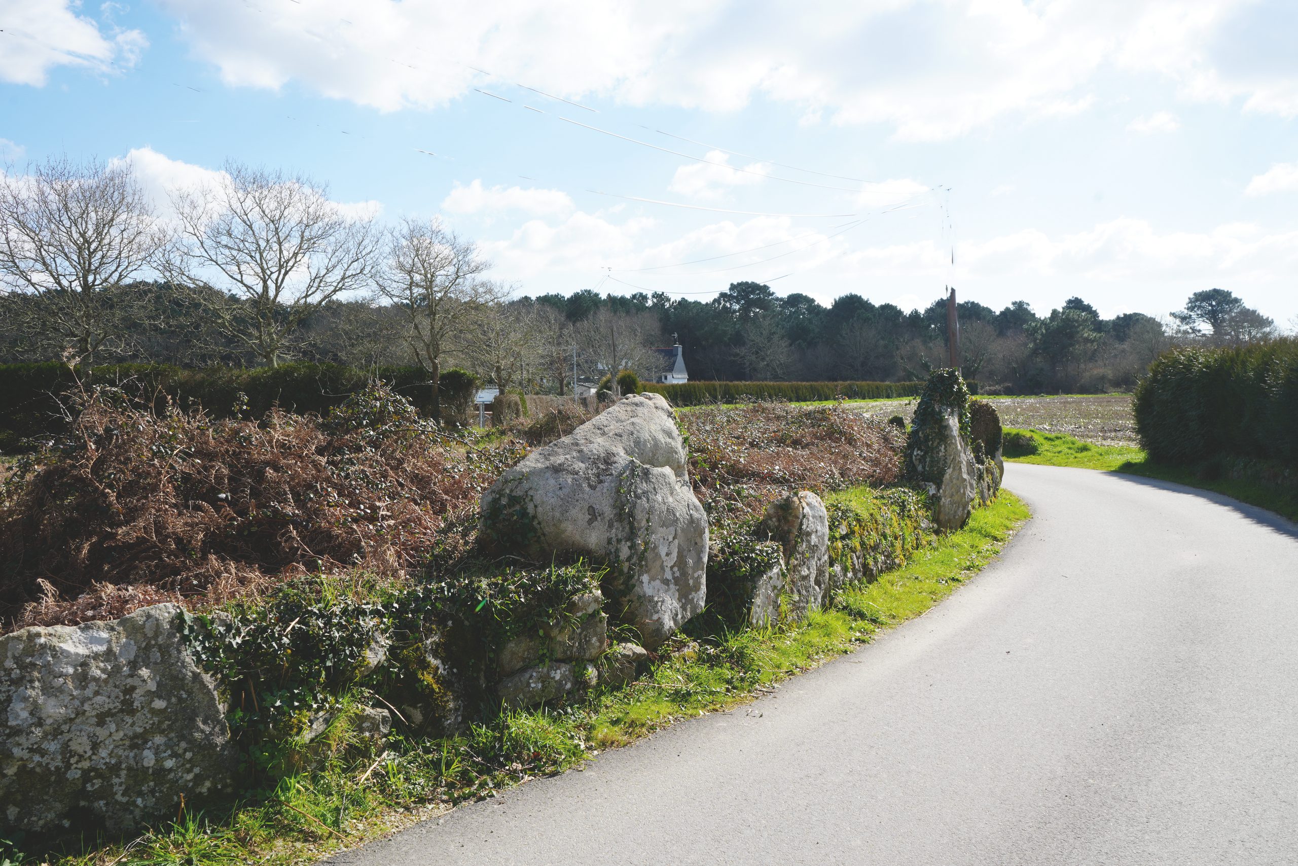 L’enceinte du cromlech de Crucuny (Morbihan), en bord de route