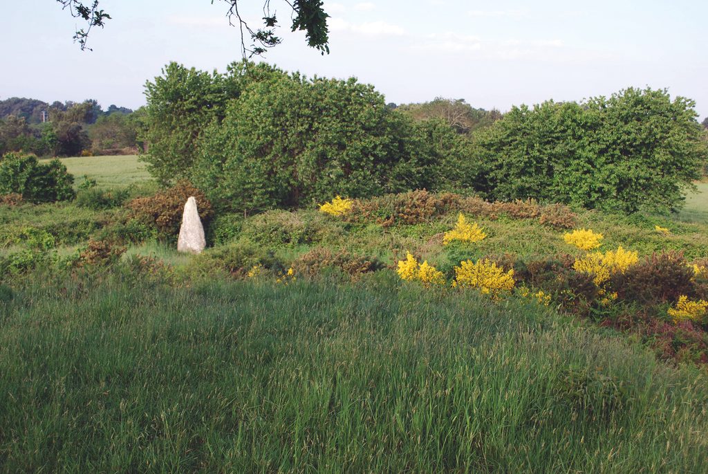 Le tumulus géant du Moustoir ou Er Mané à Carnac (Morbihan) 