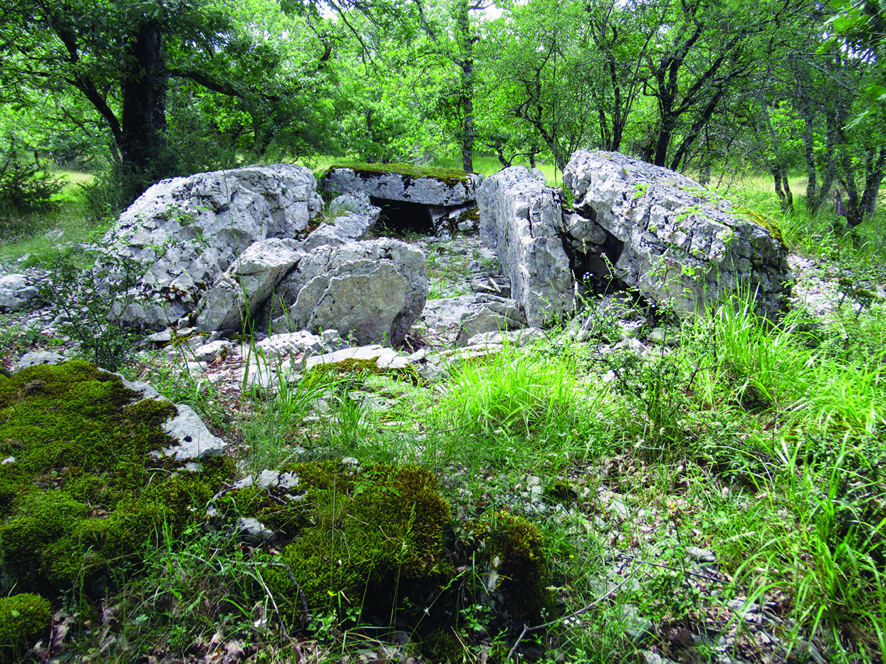 Les vestiges du dolmen double du Pech de Grammont à Gramat (Lot)
