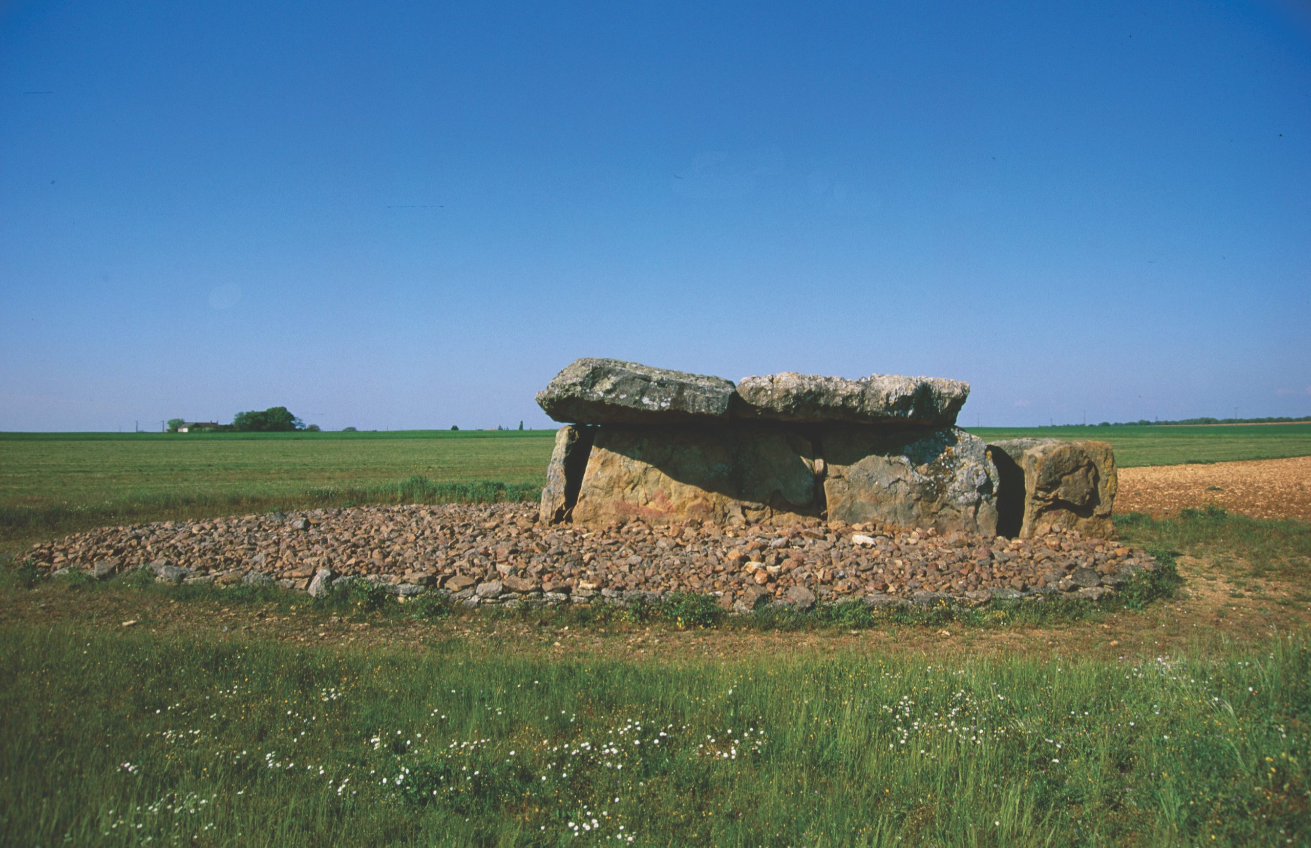 Le dolmen E 134 de la nécropole de Monpalais à Taizé (Deux-Sèvres)