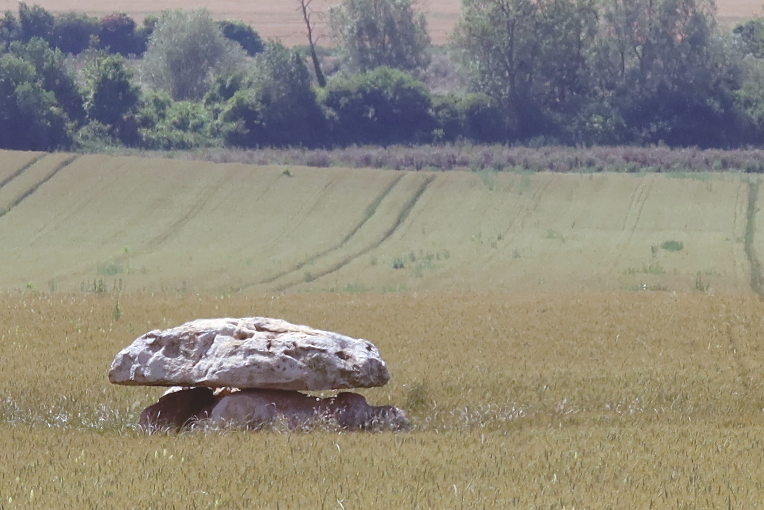 Dolmen des Blancs Fossés, Marcilly-le-Hayer (Aube)