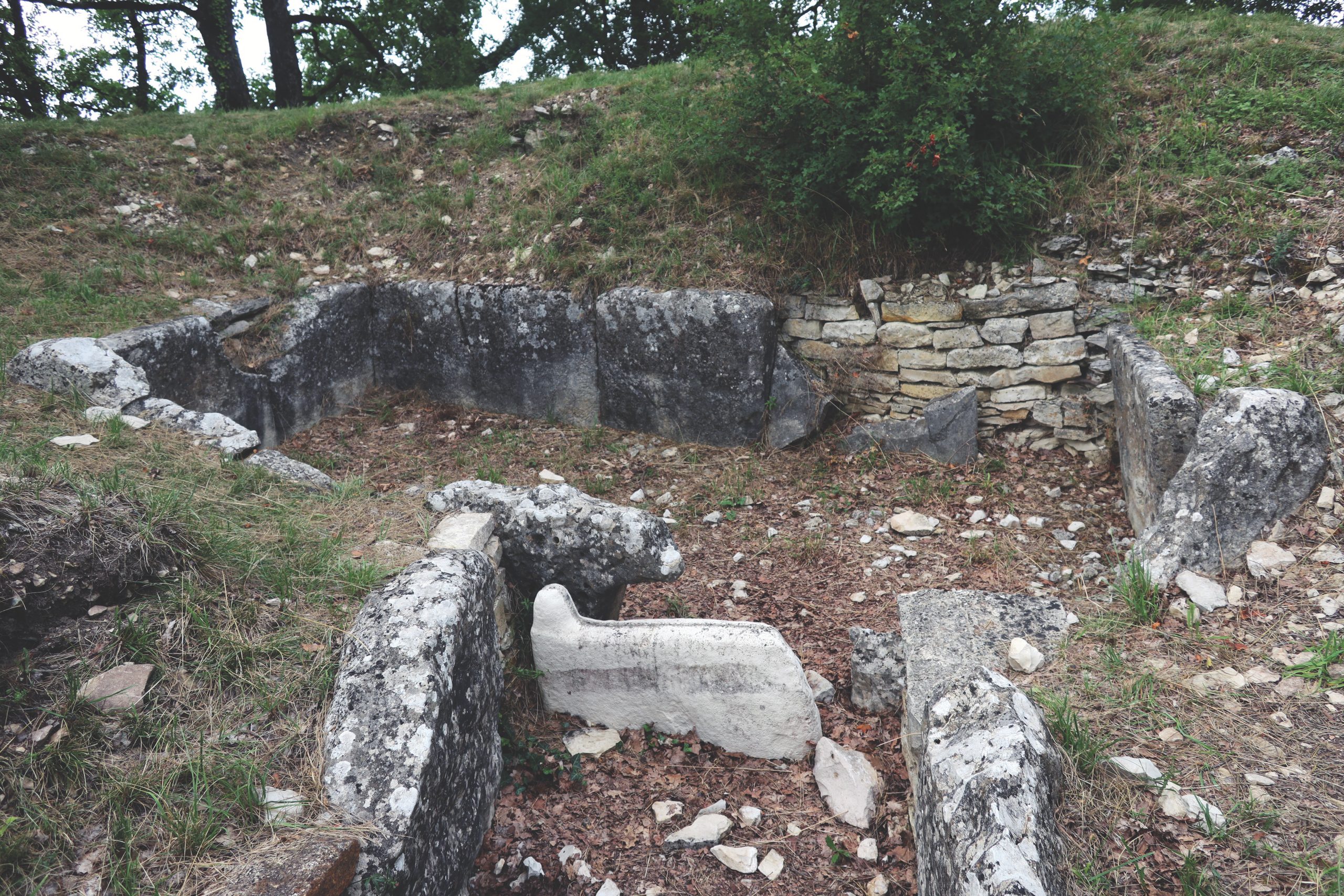 Le tumulus de la Motte de la Jacquille à Fontenille (Charente)