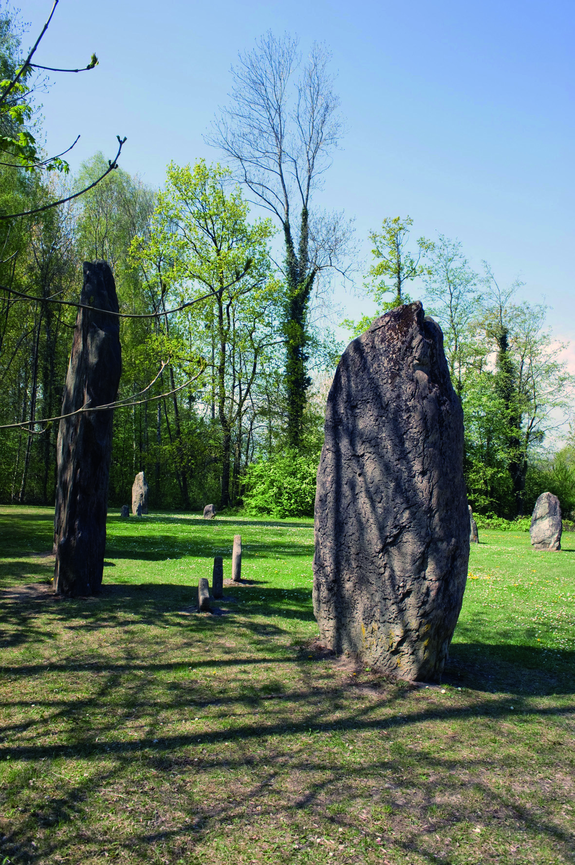Les menhirs de tailles différentes de l’alignement de Clendy à Yverdon-les-Bains, canton de Vaud (Suisse)