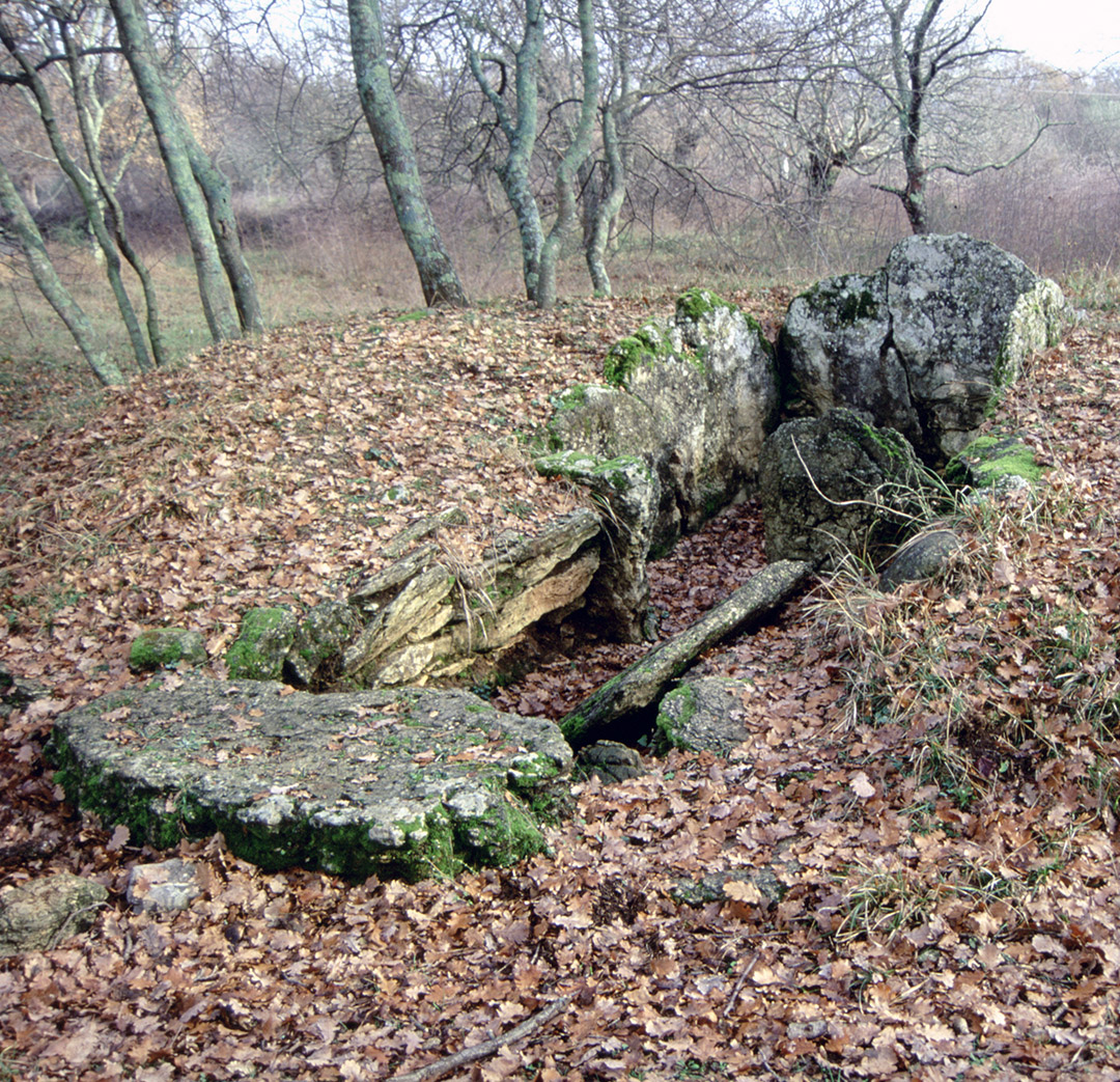 Tombe de la nécropole de Pian de Palma à Manciano, en Toscane (Italie)
