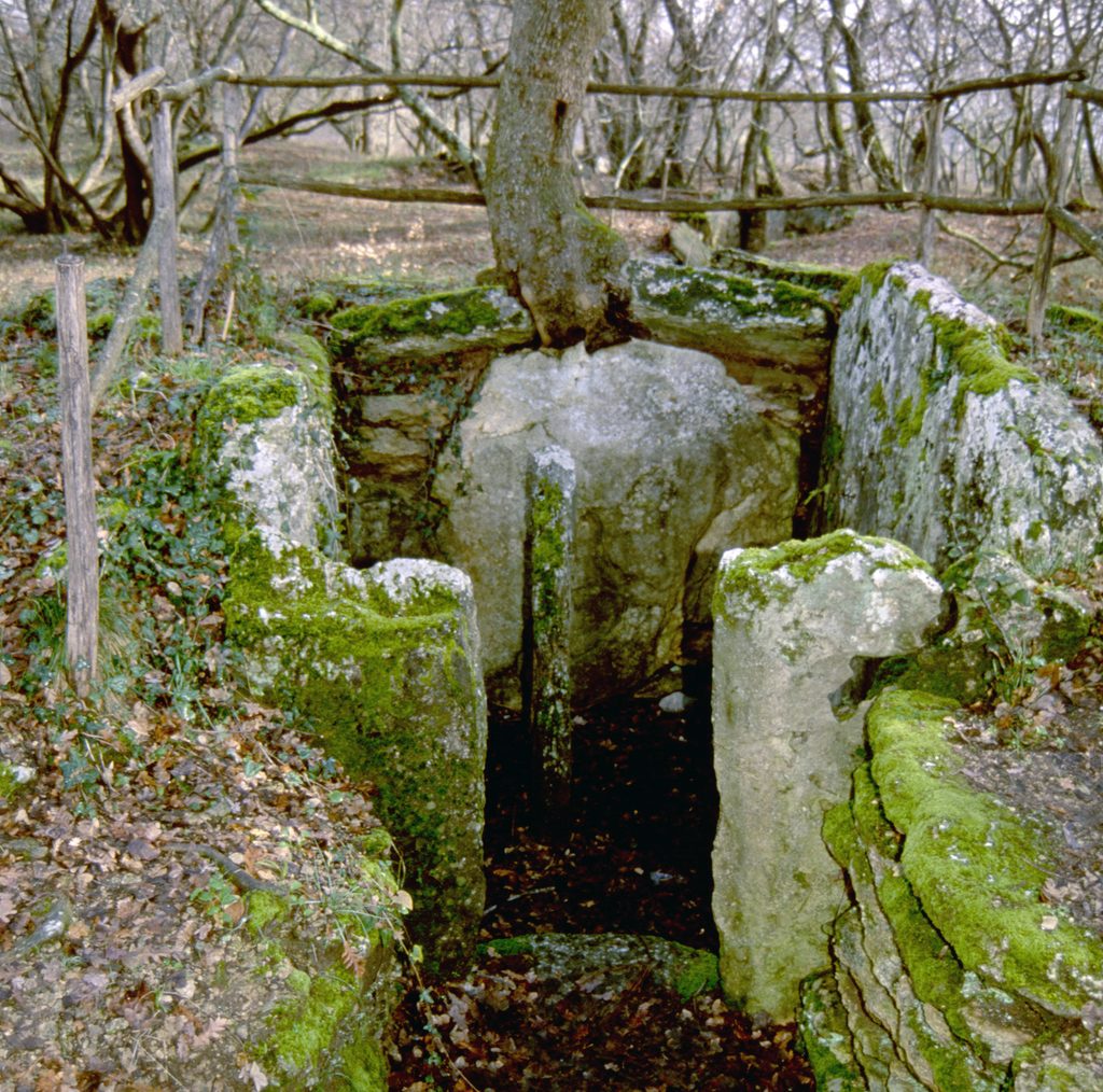 Chambre d'une tombe de la nécropole de Pian de Palma à Manciano, en Toscane (Italie)