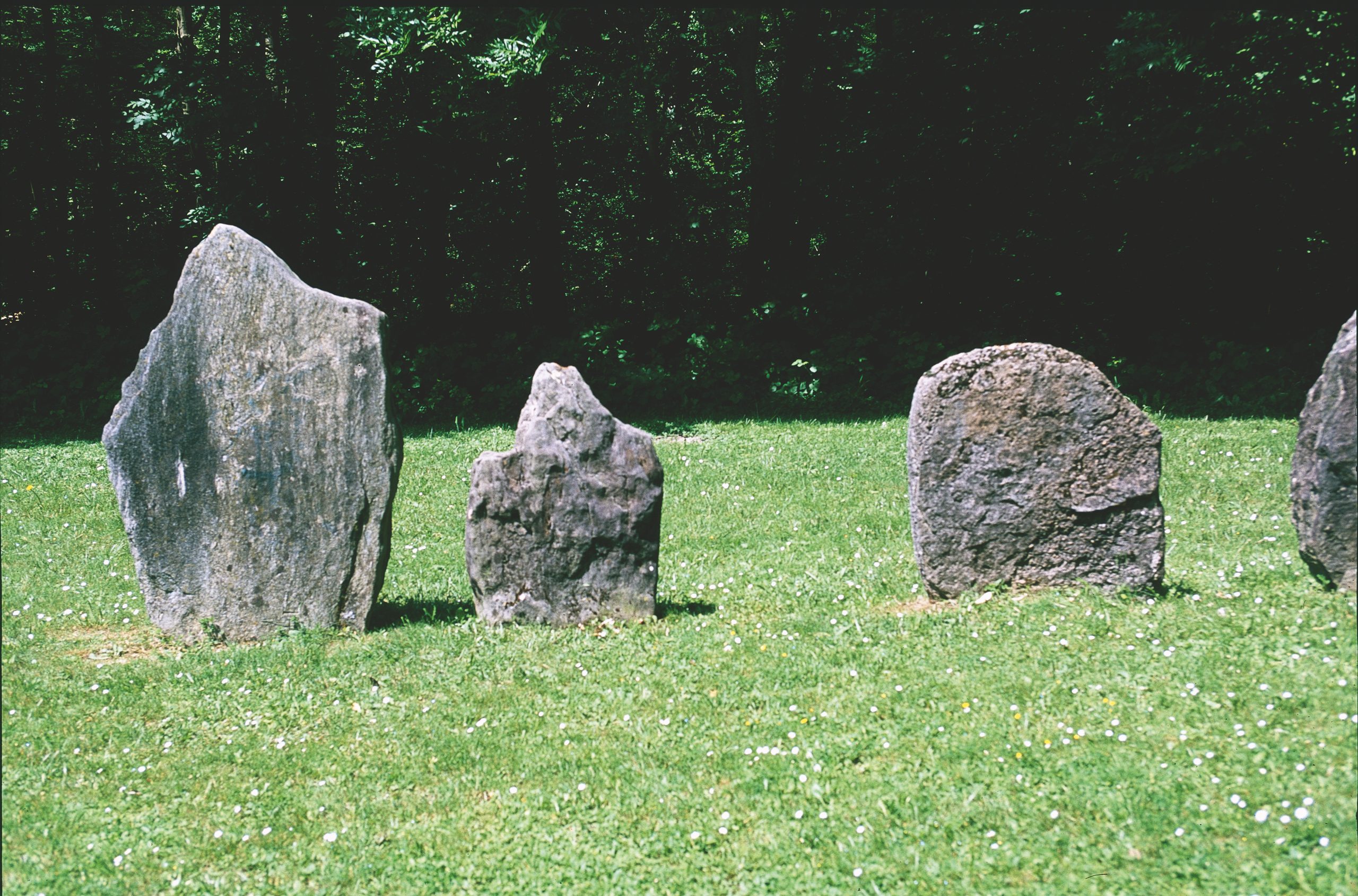 Les menhirs tels qu’ils se présentent aujourd’hui de l’alignement de Clendy à Yverdon-les-Bains, canton de Vaud (Suisse)