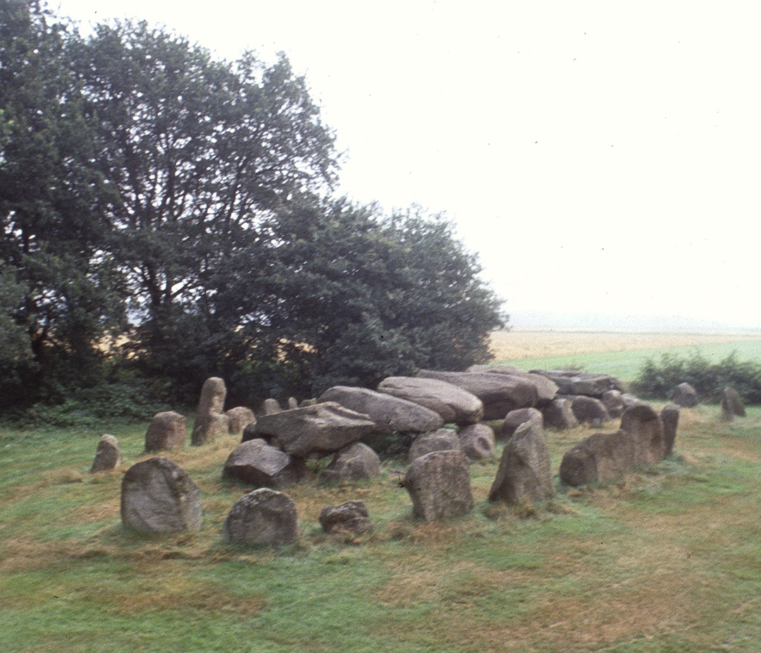 dolmen Hunebed D27 commune de Borger-Odoorn, province de Drenthe (Pays-Bas)