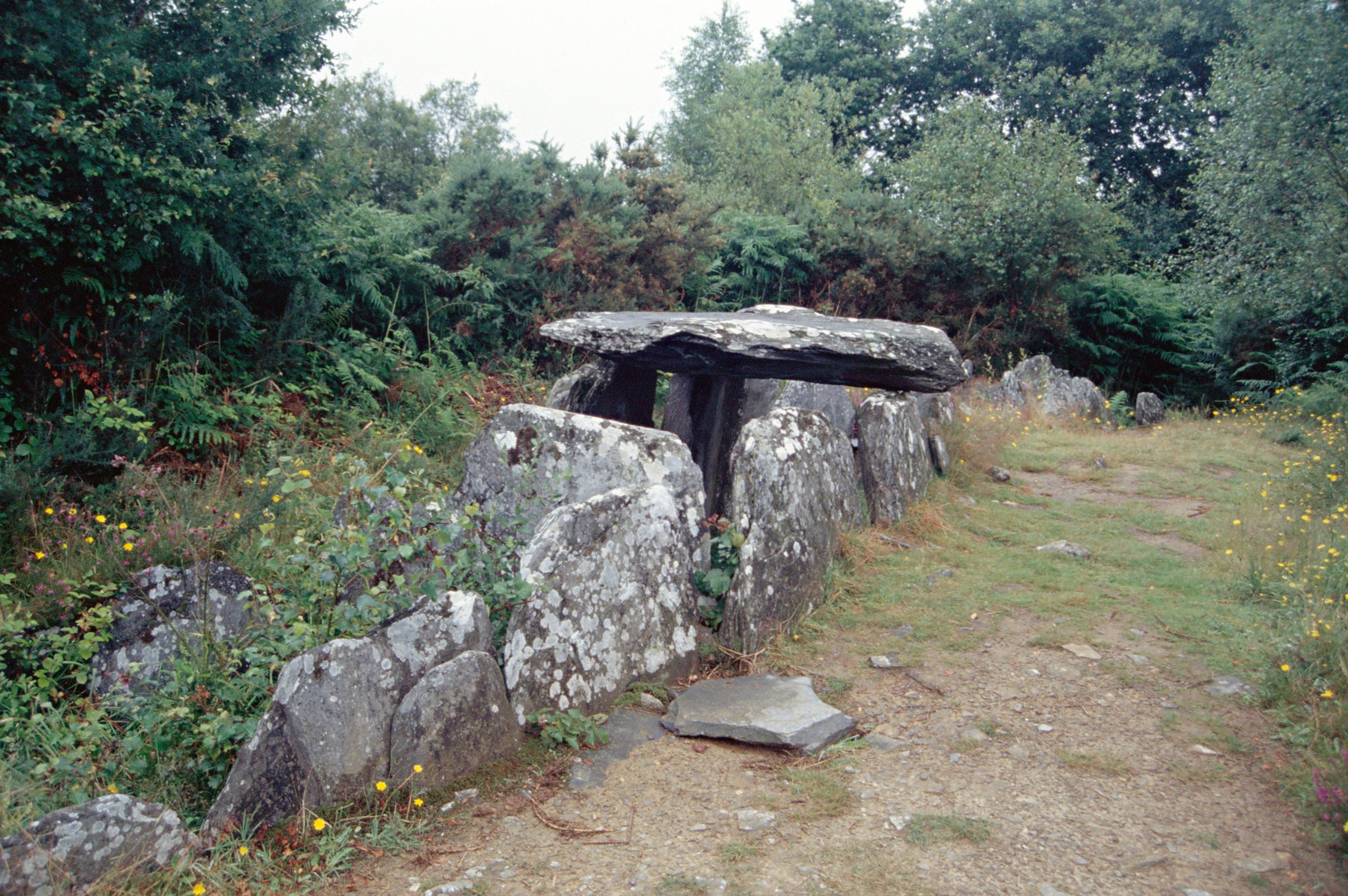L’allée couverte de Liscuis 2 à Laniscat (Côtes-d'Armor)