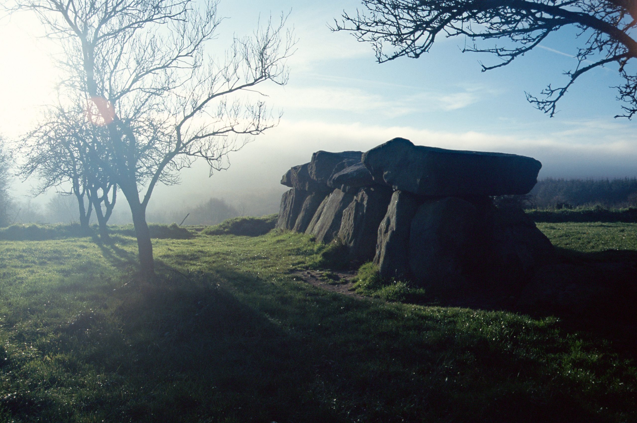 La très belle allée couverte du Mougau-Bihan à Commana (Finistère)