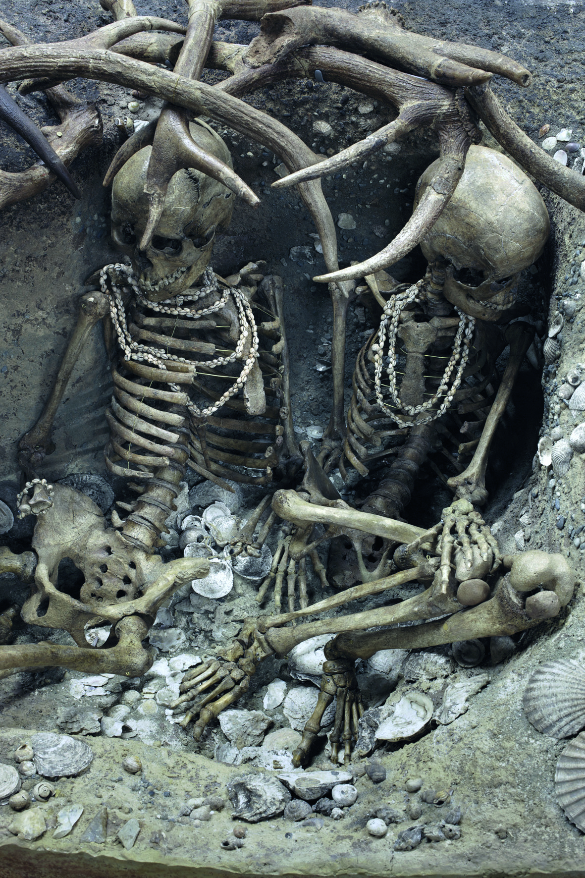 Reconstitution de la tombe A au Musée d’Histoire naturelle de Toulouse des nécropoles de Téviec et Hoëdic près de Saint-Pierre-Quiberon (Morbihan)