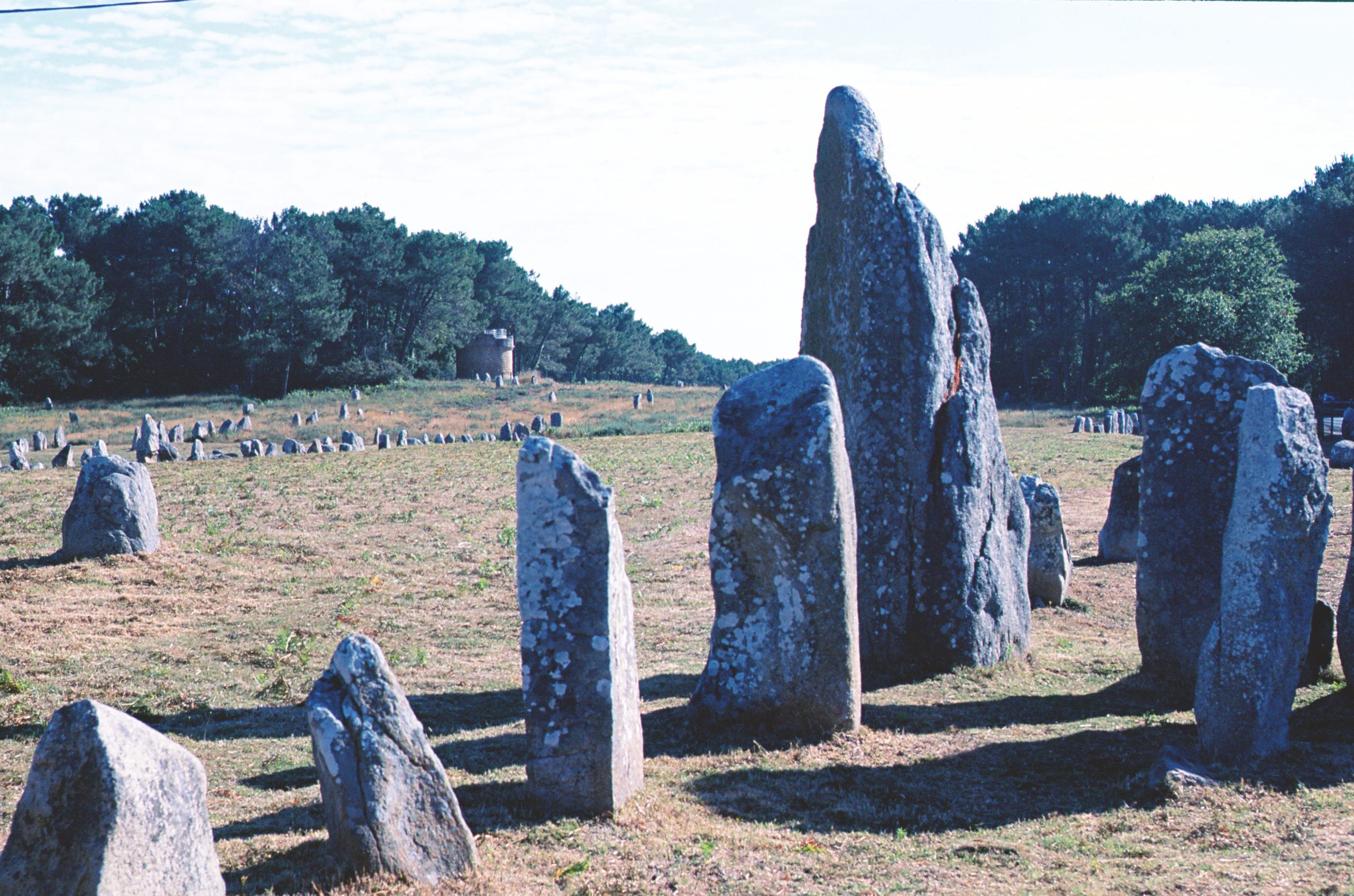 Menhirs innombrables des alignements de Carnac (Morbihan)
