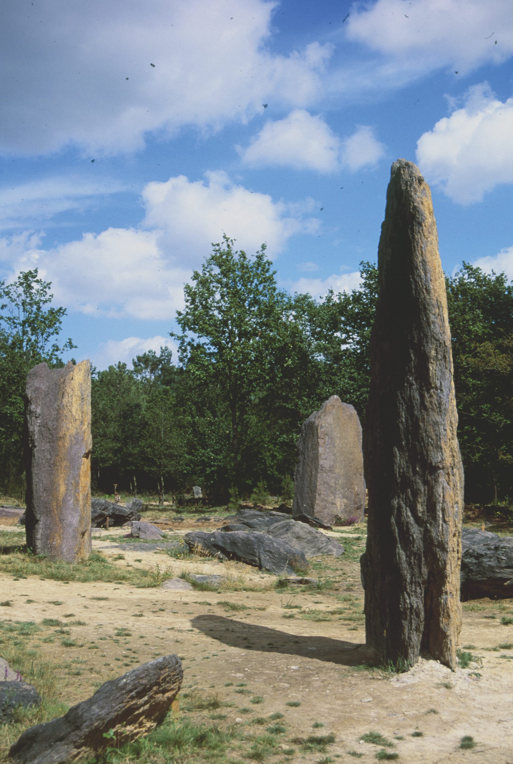 Quelques menhirs de l'alignement des Pierres Droites à Monteneuf (Morbihan)