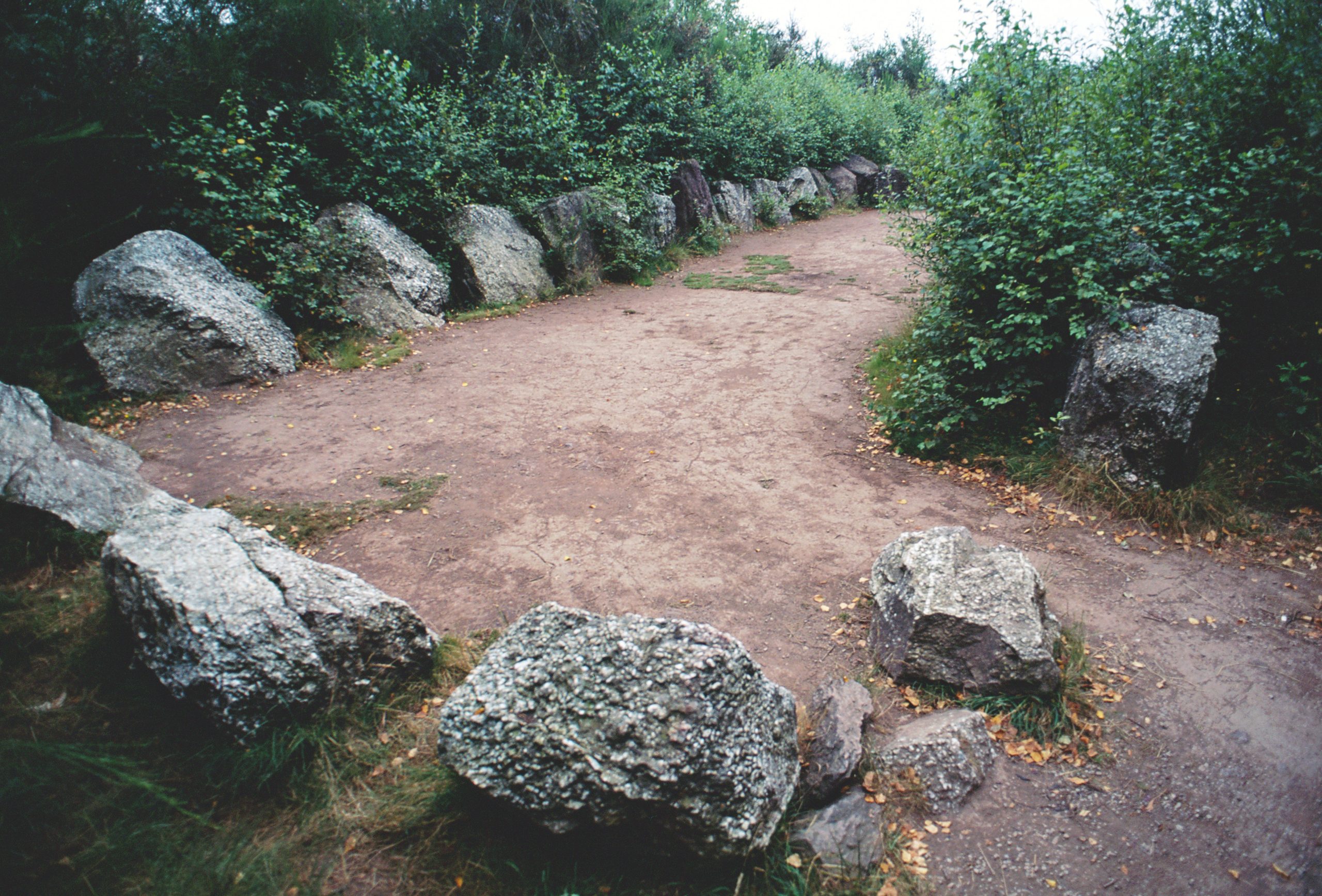 Pierres restantes du tumulus du Jardin aux Moines à Néant-sur-Yvel (Morbihan)