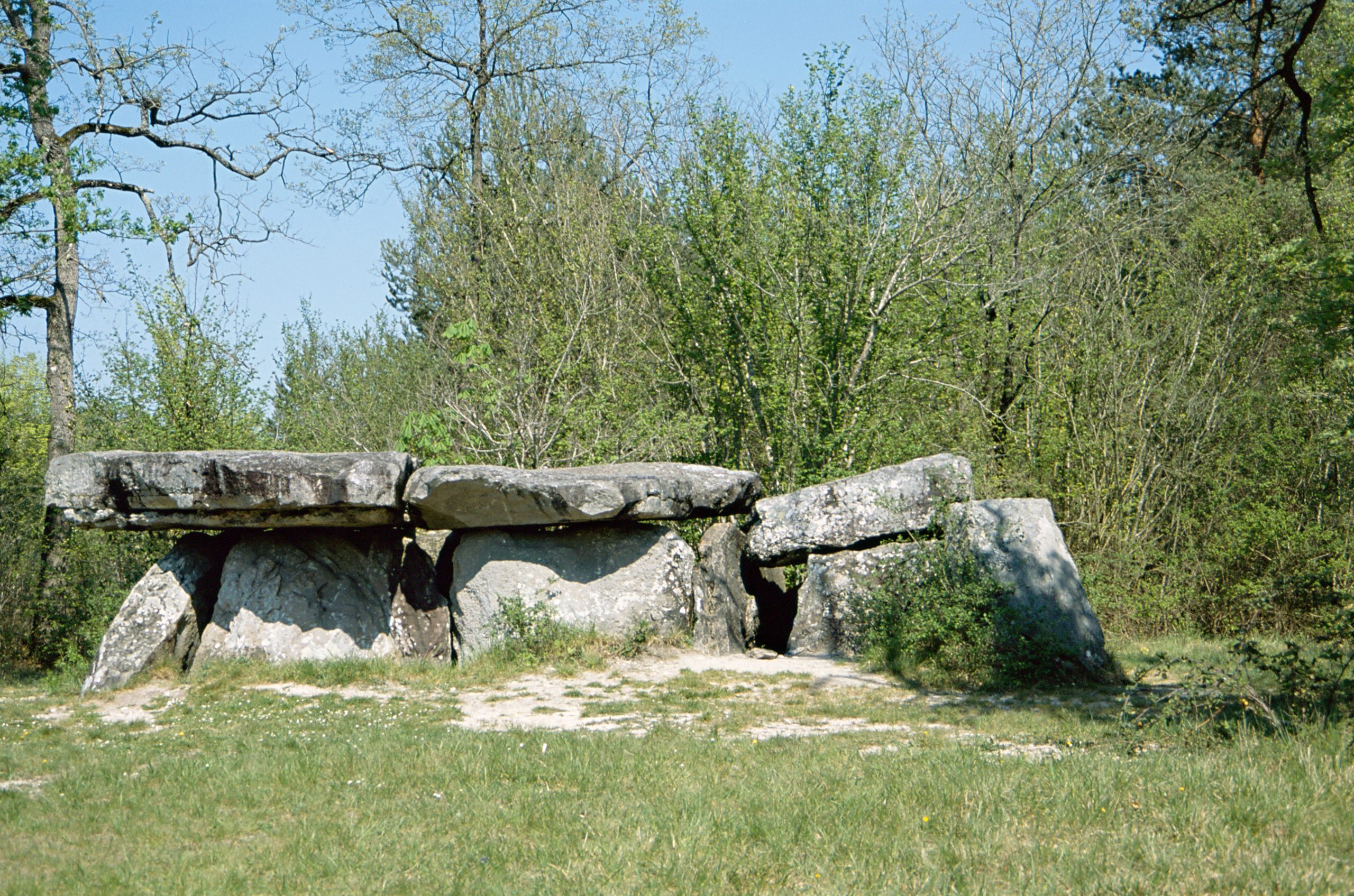 Le dolmen de la Pierre-Couverte à Pontigné (Maine-et-Loire)