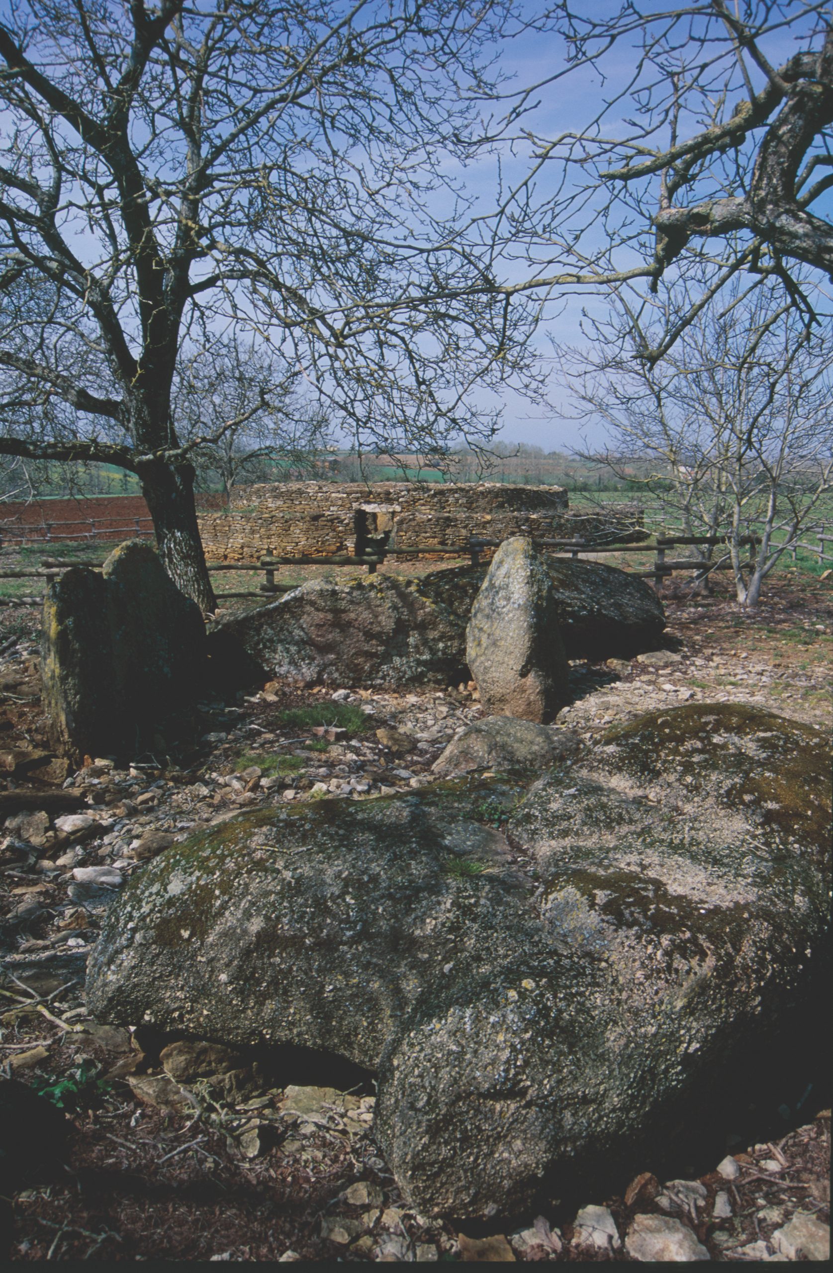 Le dolmen dans son état actuel de La Pierre Folle à Bazoges-en-Pareds (Vendée)