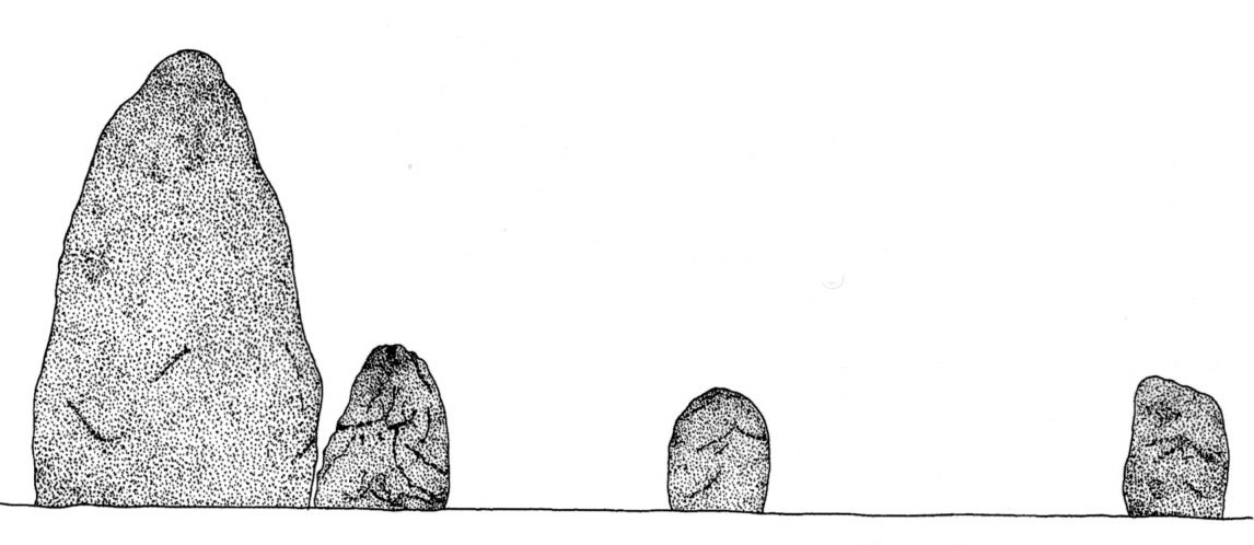 Le Groupement de menhirs G1 du Bois du Fourgon à Avrillé (Vendée)