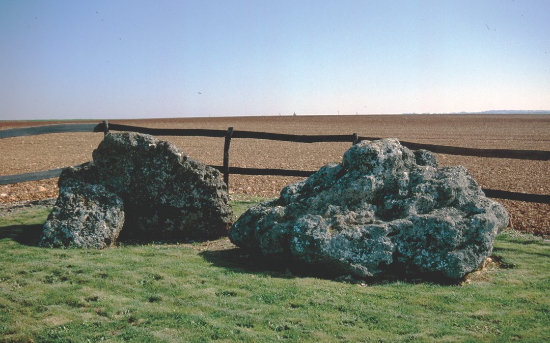 Pierre Virante, Vendée