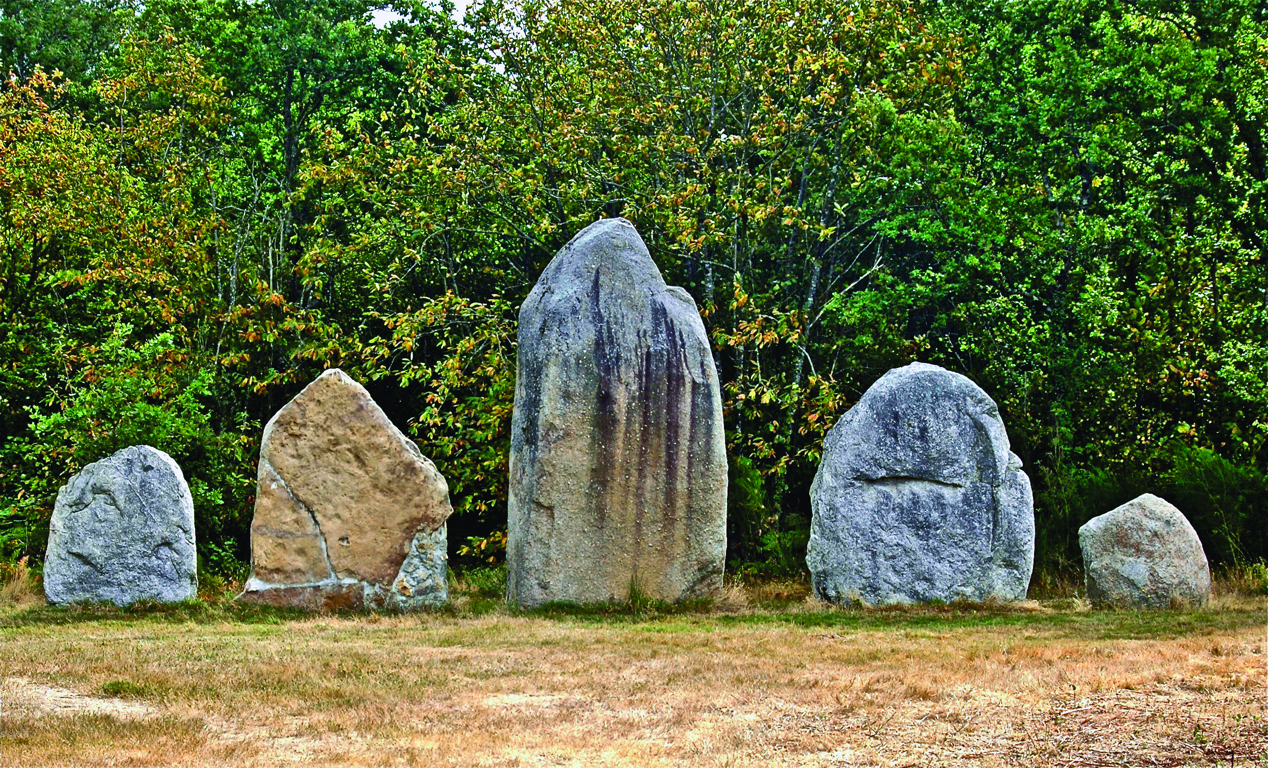 Le Groupement de menhirs G2 du Bois du Fourgon à Avrillé (Vendée)