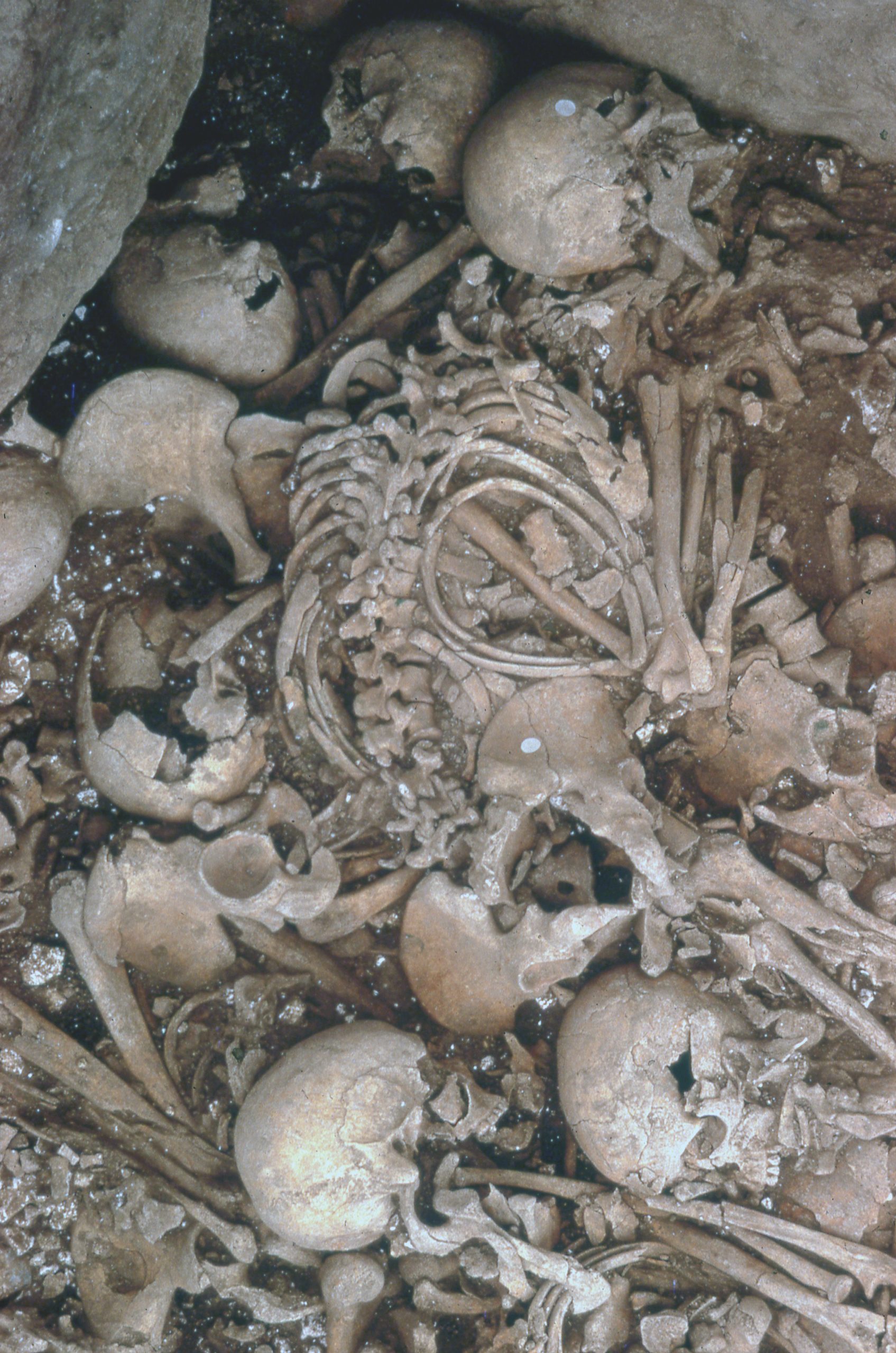 Couche sépulcrale de l’allée de La Chaussée-Tirancourt (Somme)