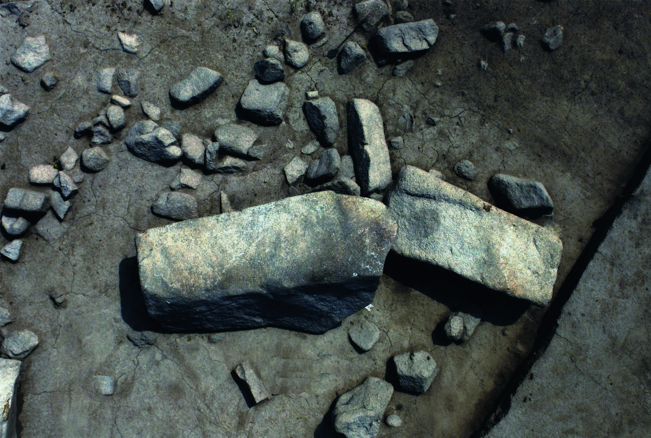 Menhir lors du décapage de l’alignement de Kerdruellan à Belz (Morbihan)