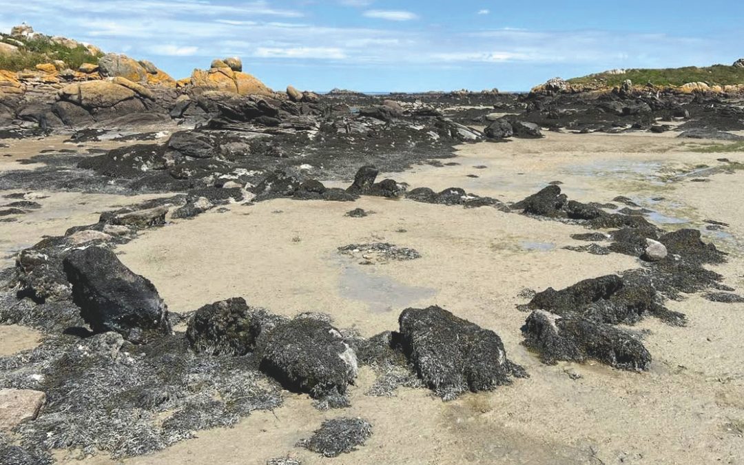 Œillet (L’), Manche