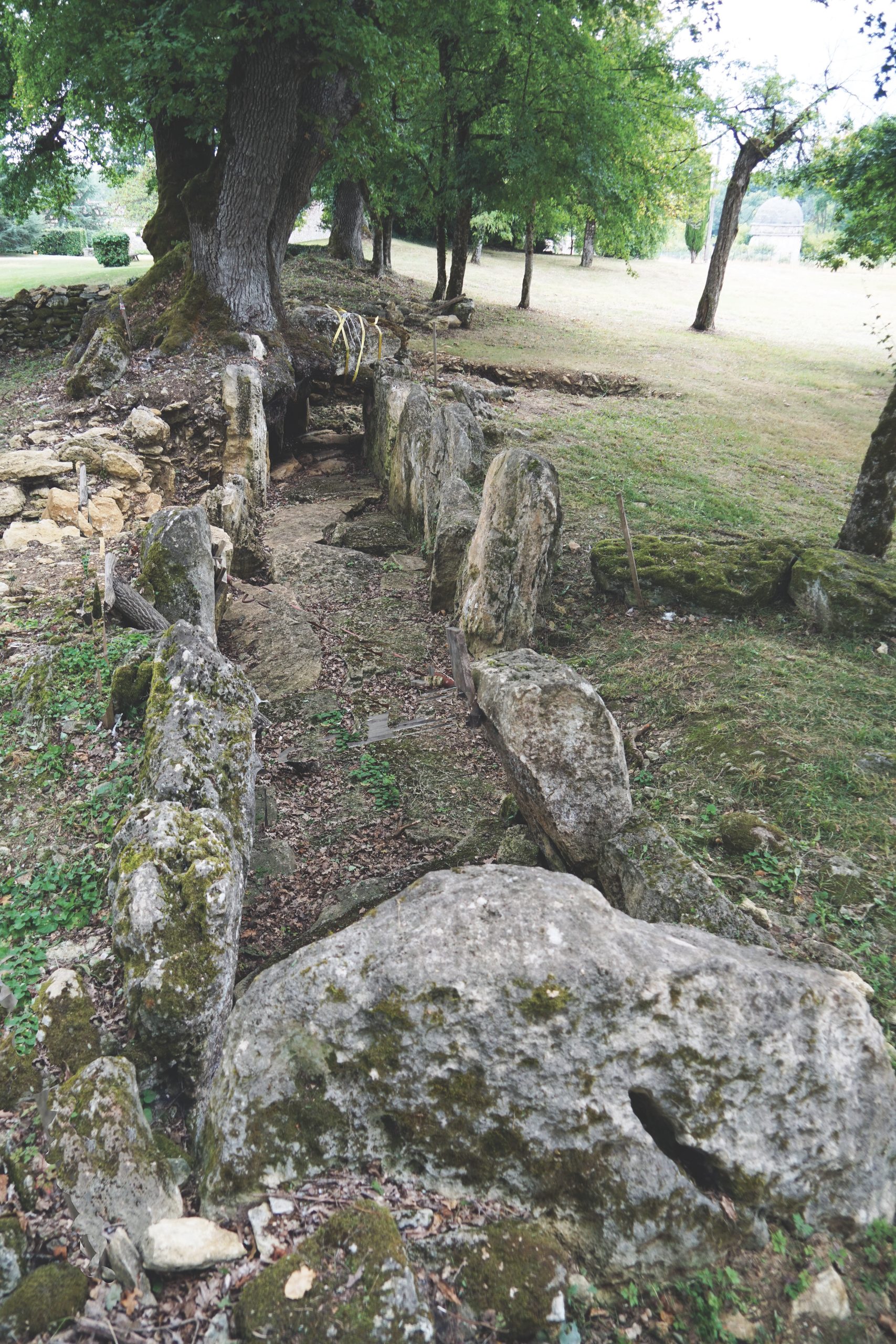 Longue chambre de l'allée couverte de Roquefort à Lugasson (Gironde)