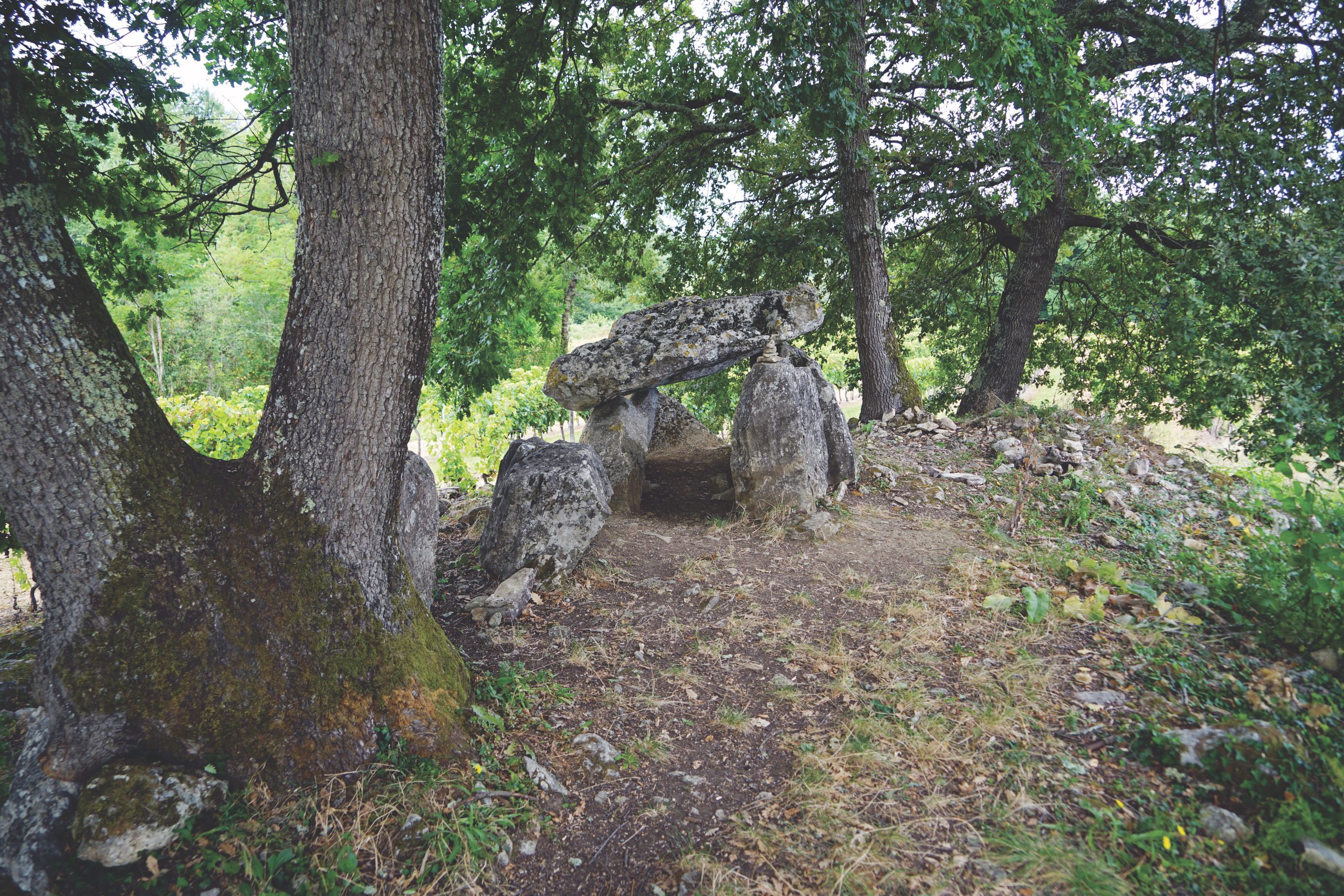 L’allée couverte de Curton à Jugazan (Gironde)