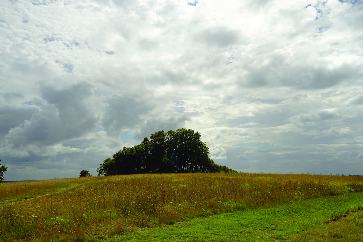 Le tumulus recouvert d’arbres de La Motte de la Jacquille à Fontenille (Charente)