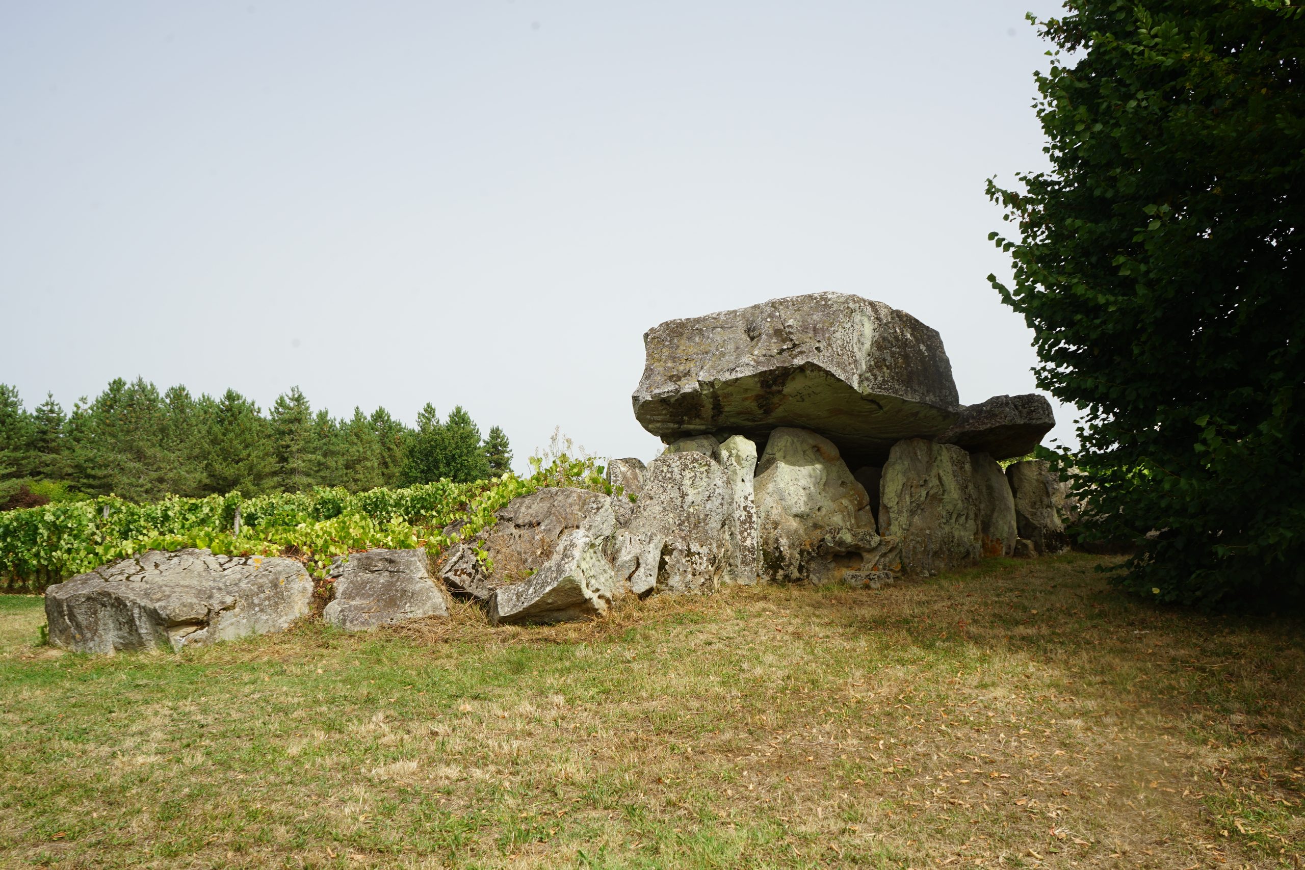 Le dolmen de l’allée couverte de la Pierre Folle à Montguyon (Charente-Maritime)