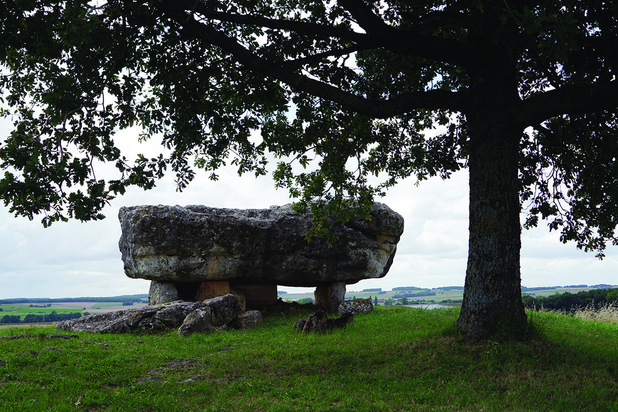 L’épaisse dalle de couverture du dolmen de la Petite Pérotte à Fontenille (Charente)