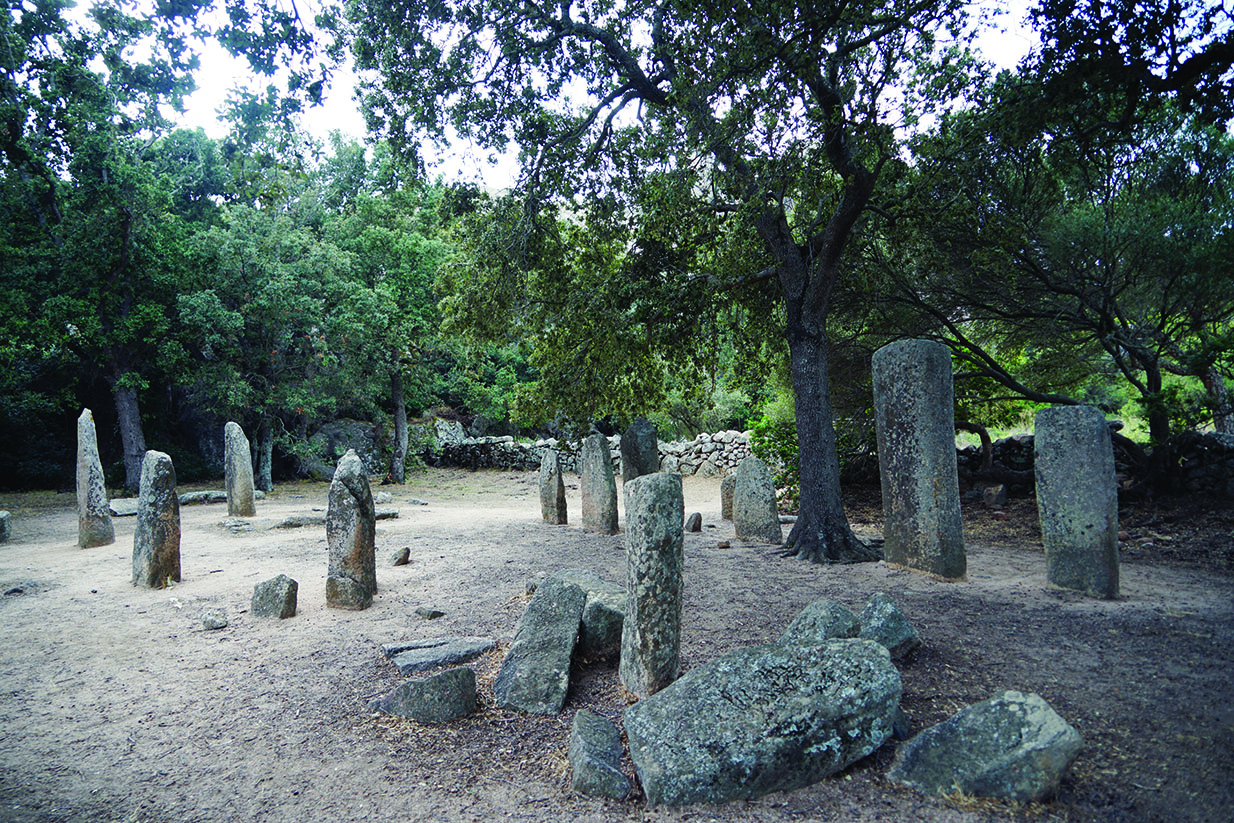Pierres dressées, parmi les arbres, de l'alignement de Rinaghju à Sartène (Corse-du-Sud)